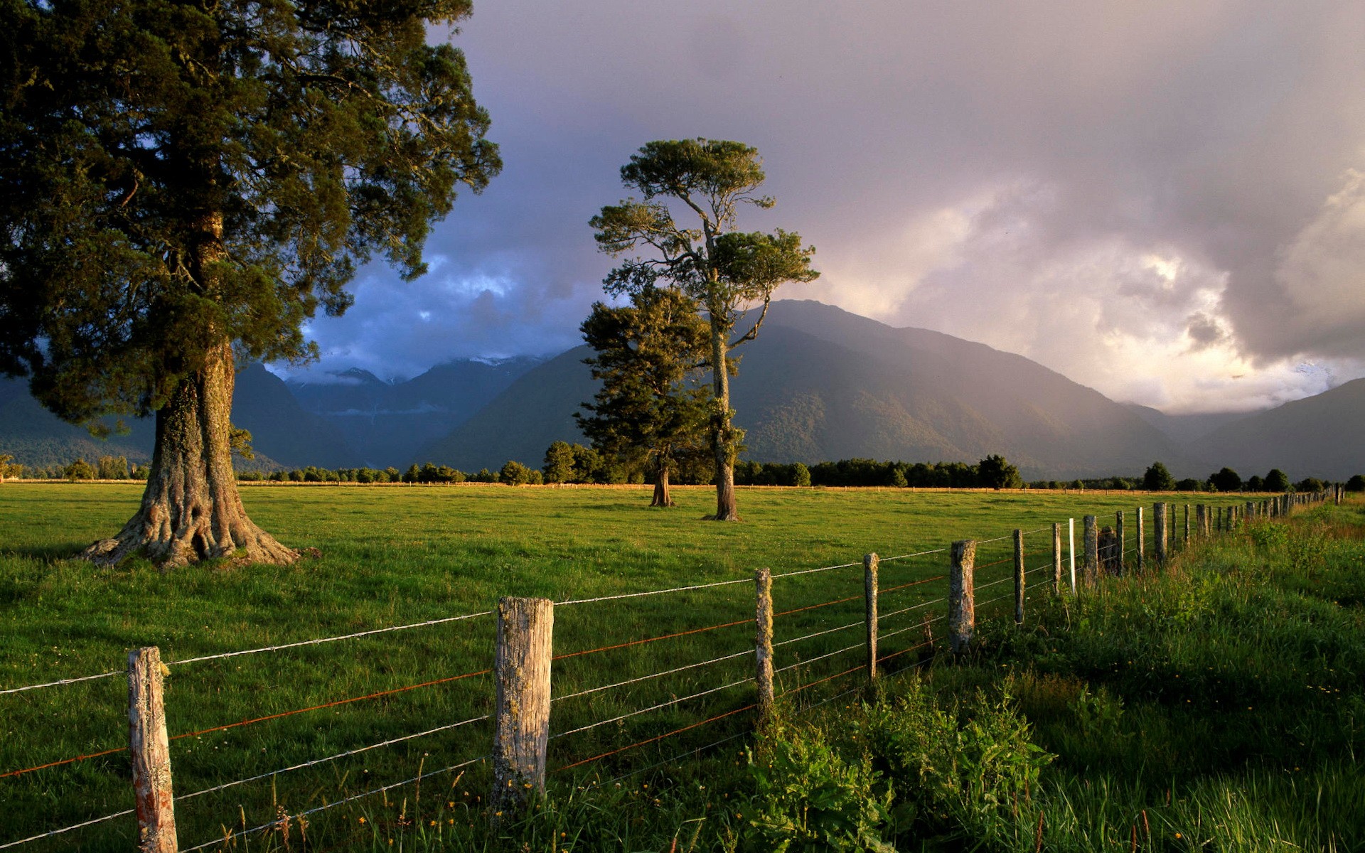 General 1920x1200 nature fence trees mountains landscape New Zealand