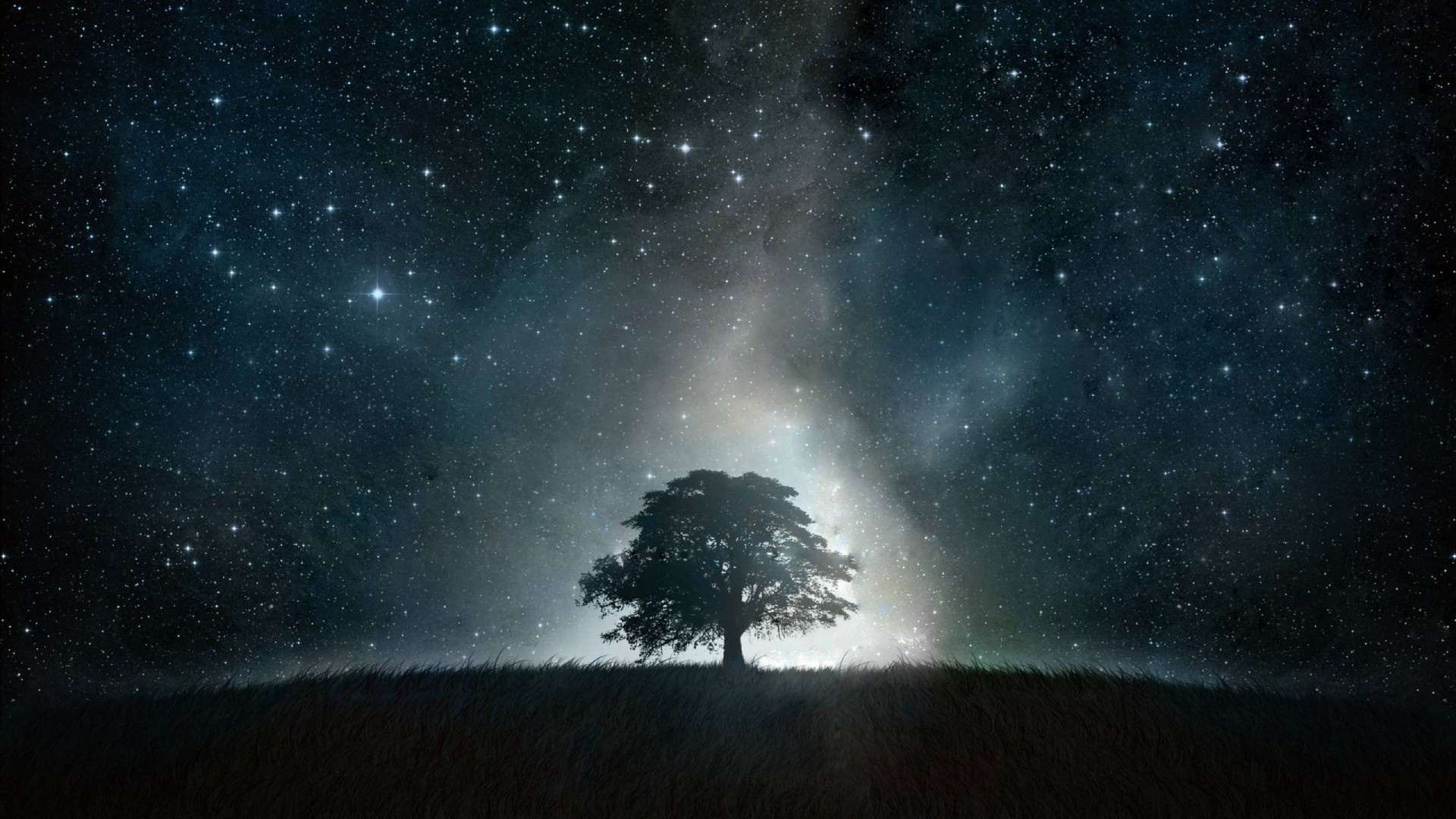 General 1920x1080 sky trees stars dark night nature outdoors