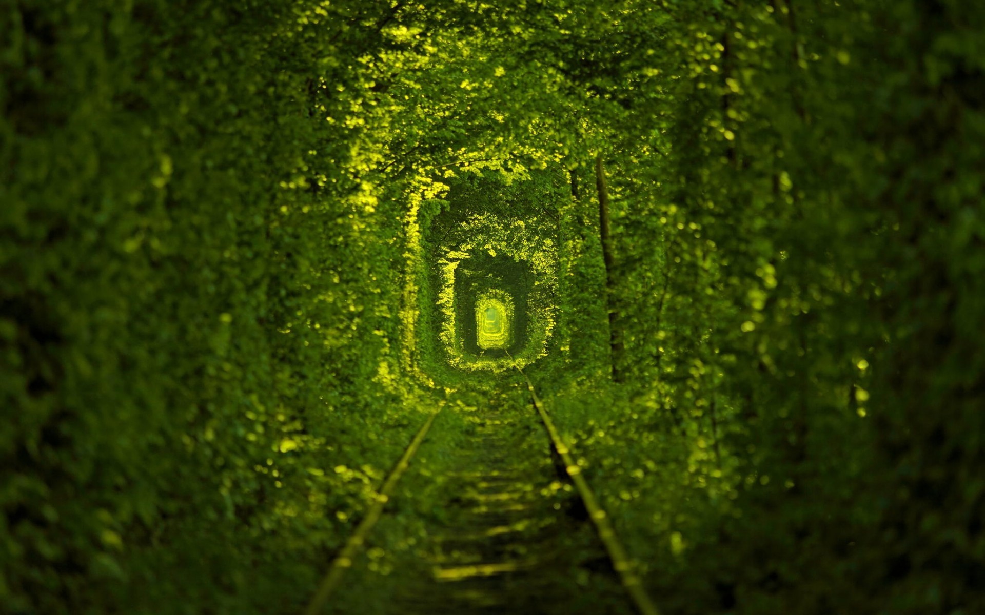 General 1920x1200 tunnel leaves railway trees nature green Tunnel of Love