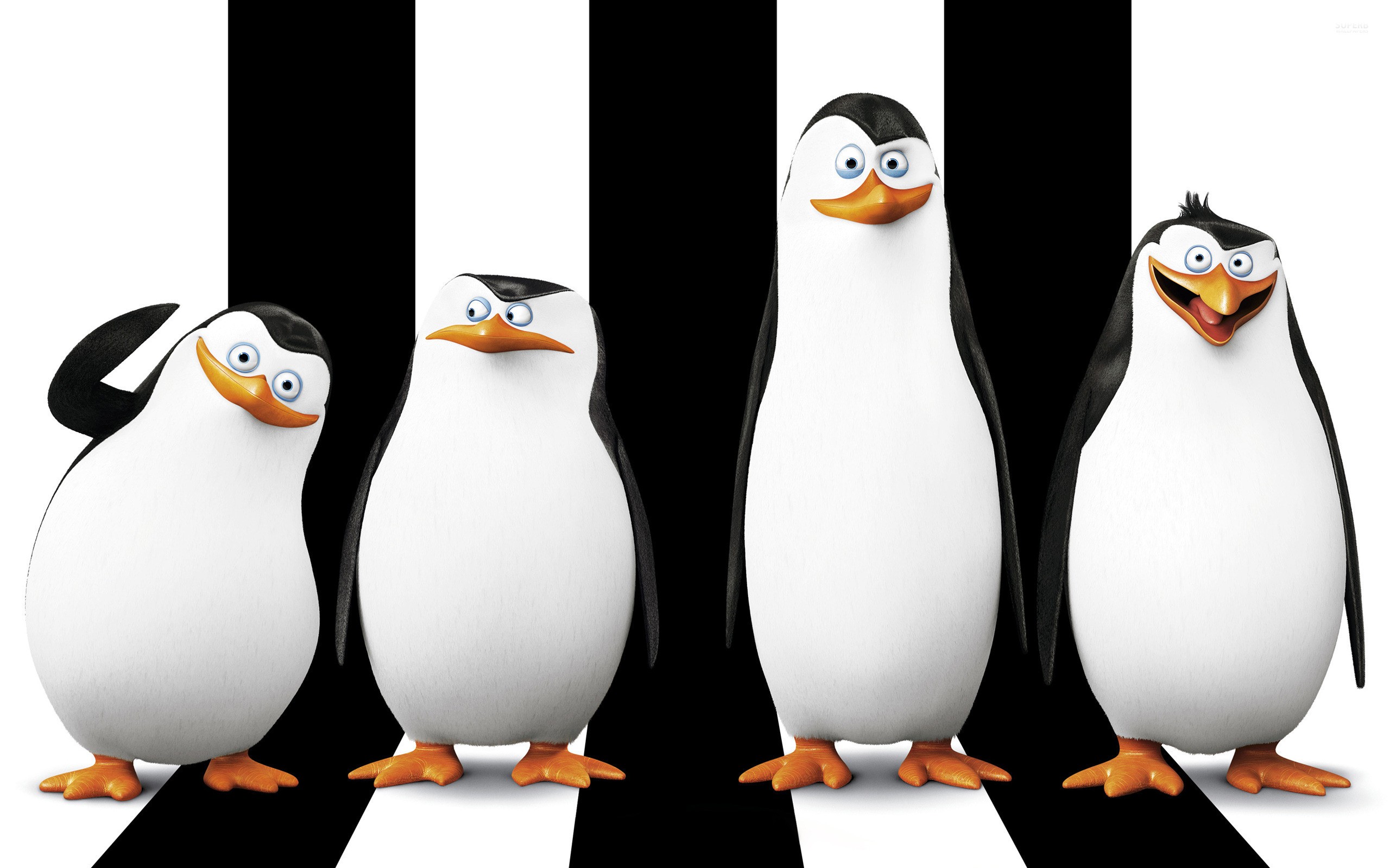 General 2560x1600 penguins movies Penguins of Madagascar animated movies birds animals digital art