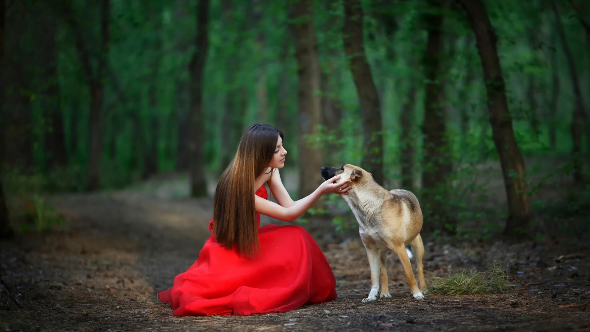People 1920x1080 women animals dog brunette straight hair red dress trees women with dogs mammals women outdoors long hair