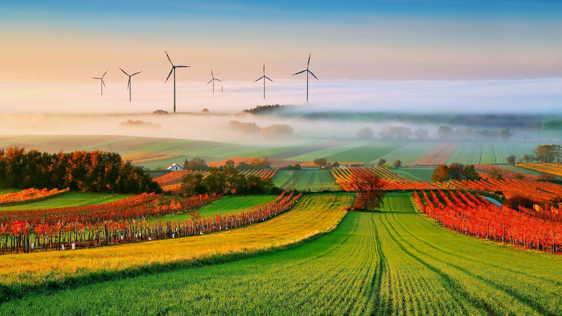General 1920x1080 landscape trees clouds field mist hills house vineyard wind turbine Agro (Plants)