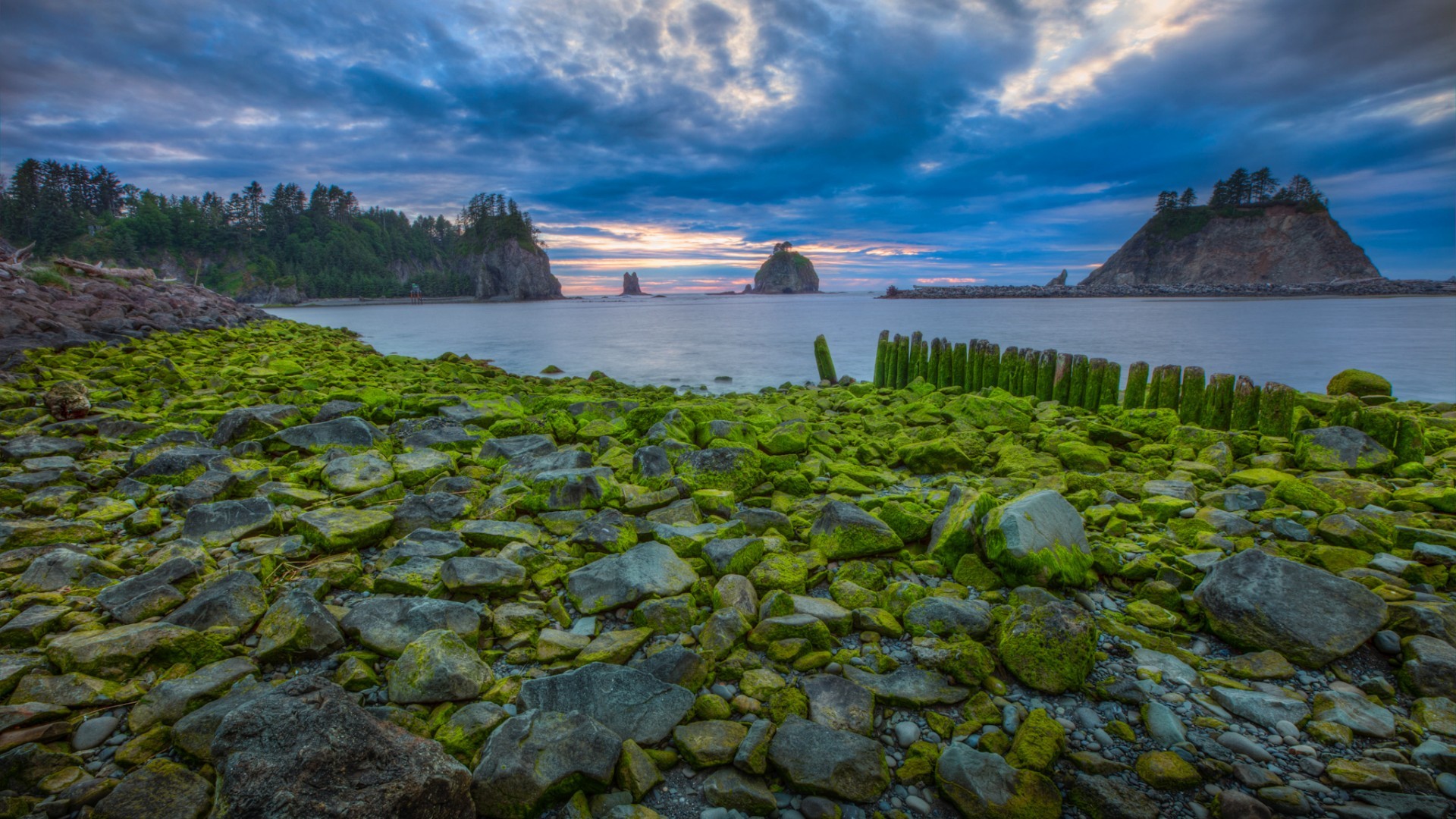 General 1920x1080 nature landscape water trees clouds USA rocks stones moss forest sea sunset morning Olympic National Park Washington State