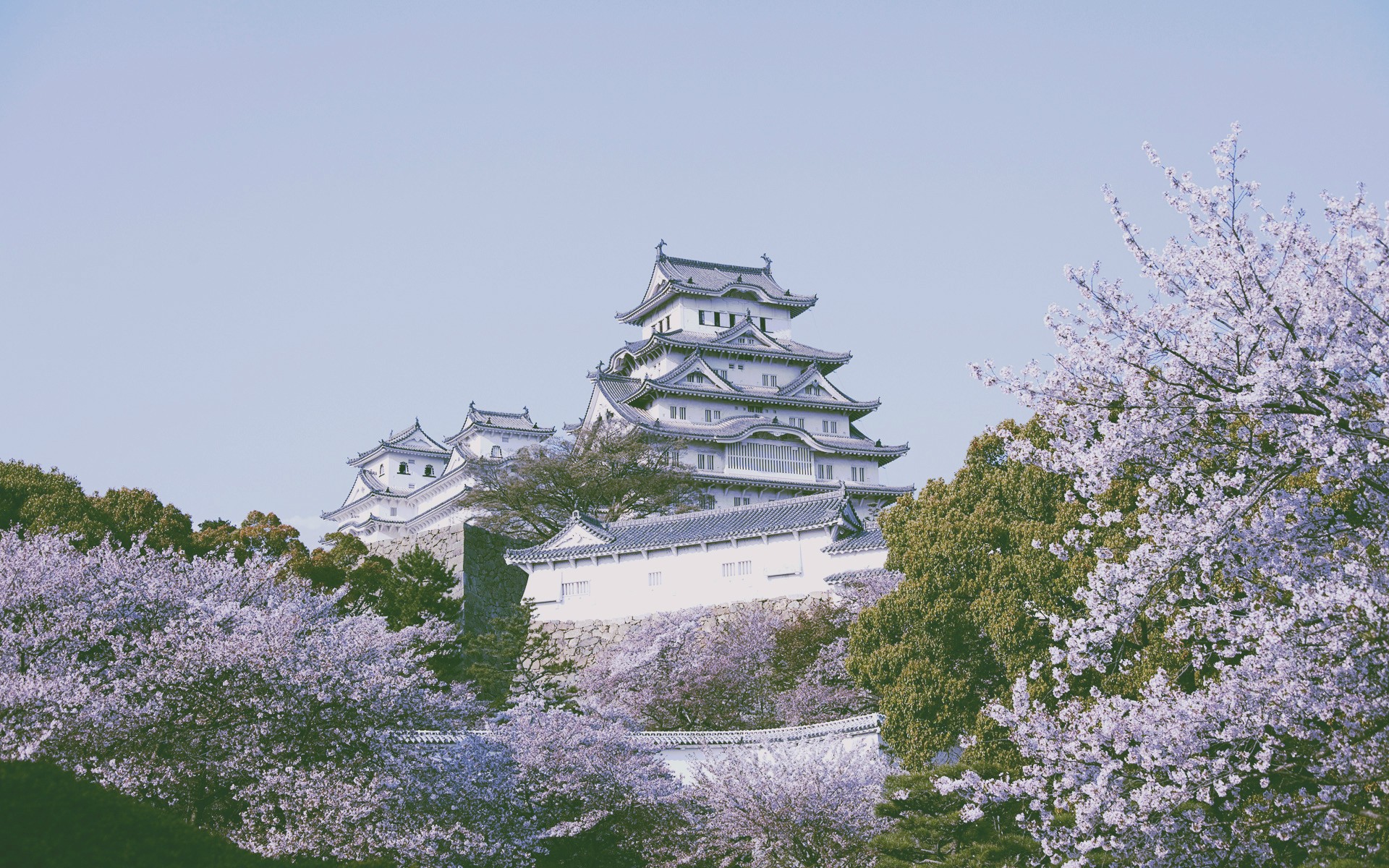 General 1920x1200 Himeji Castle pagoda Asian architecture blossoms Asia Japan cherry blossom building