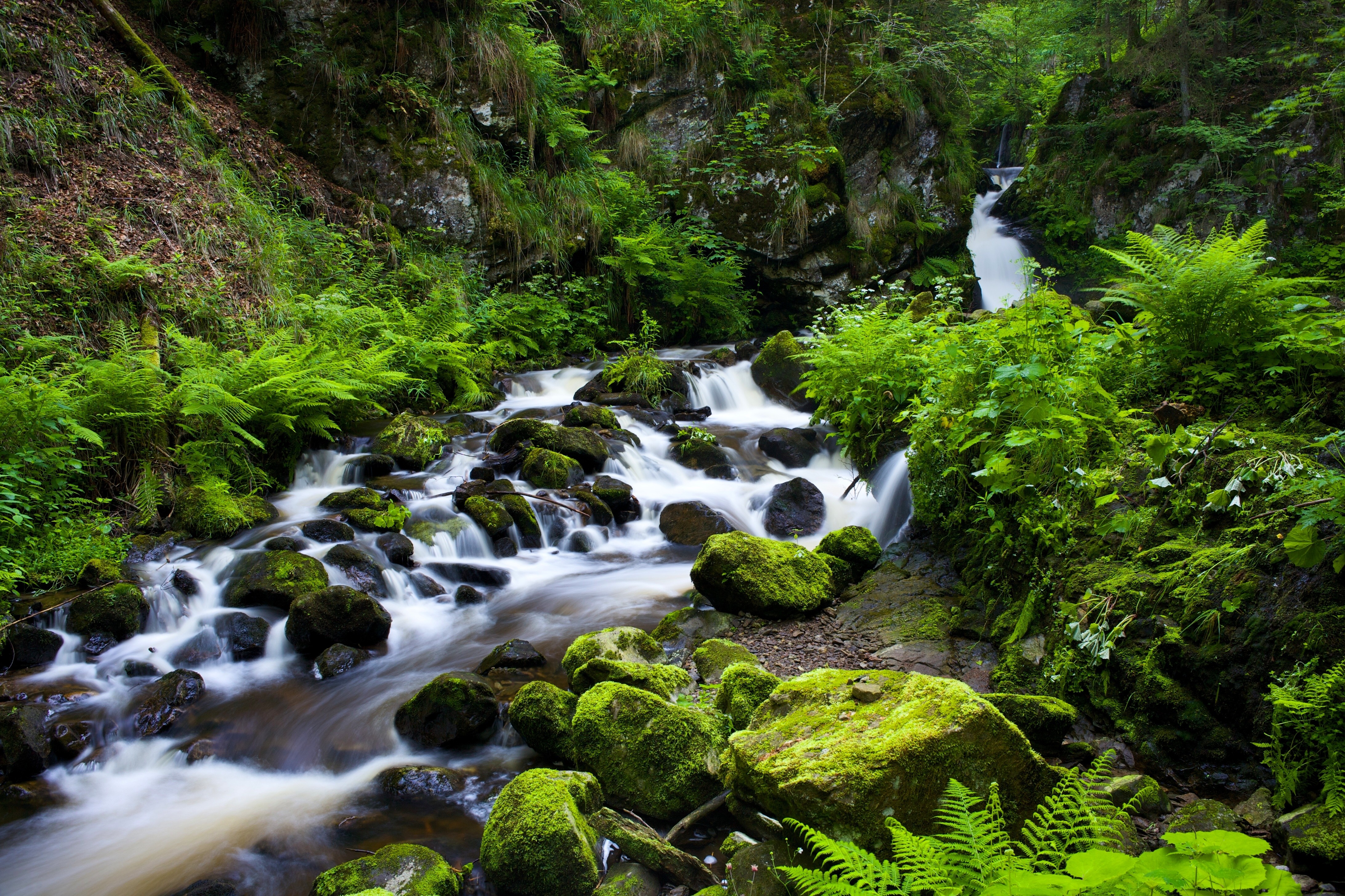 General 4368x2912 nature water creeks plants long exposure outdoors stones