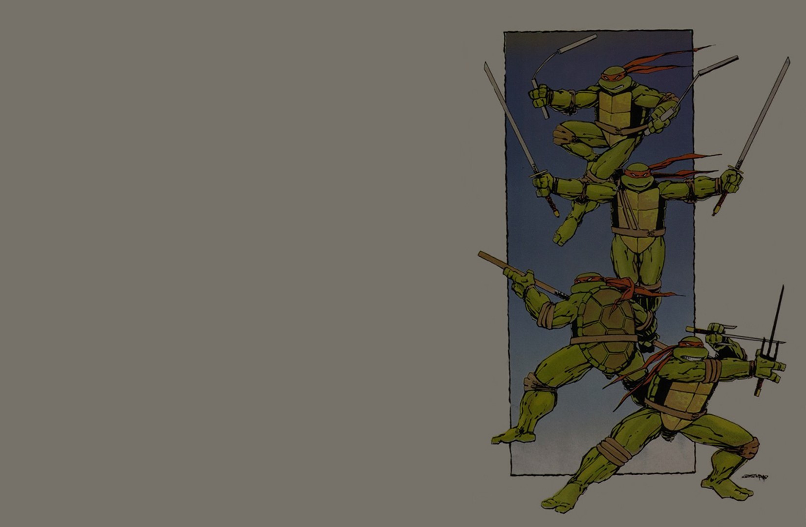 General 1650x1080 Teenage Mutant Ninja Turtles comic art warrior