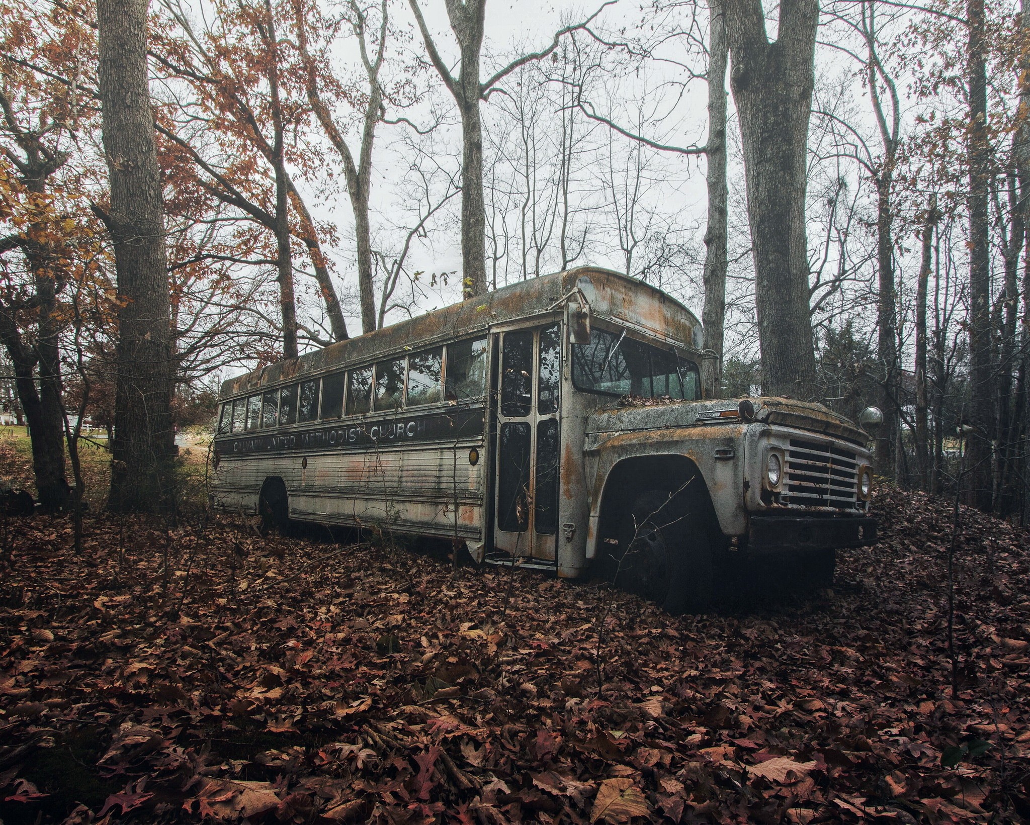 General 2048x1641 buses wreck vehicle abandoned fallen leaves trees outdoors