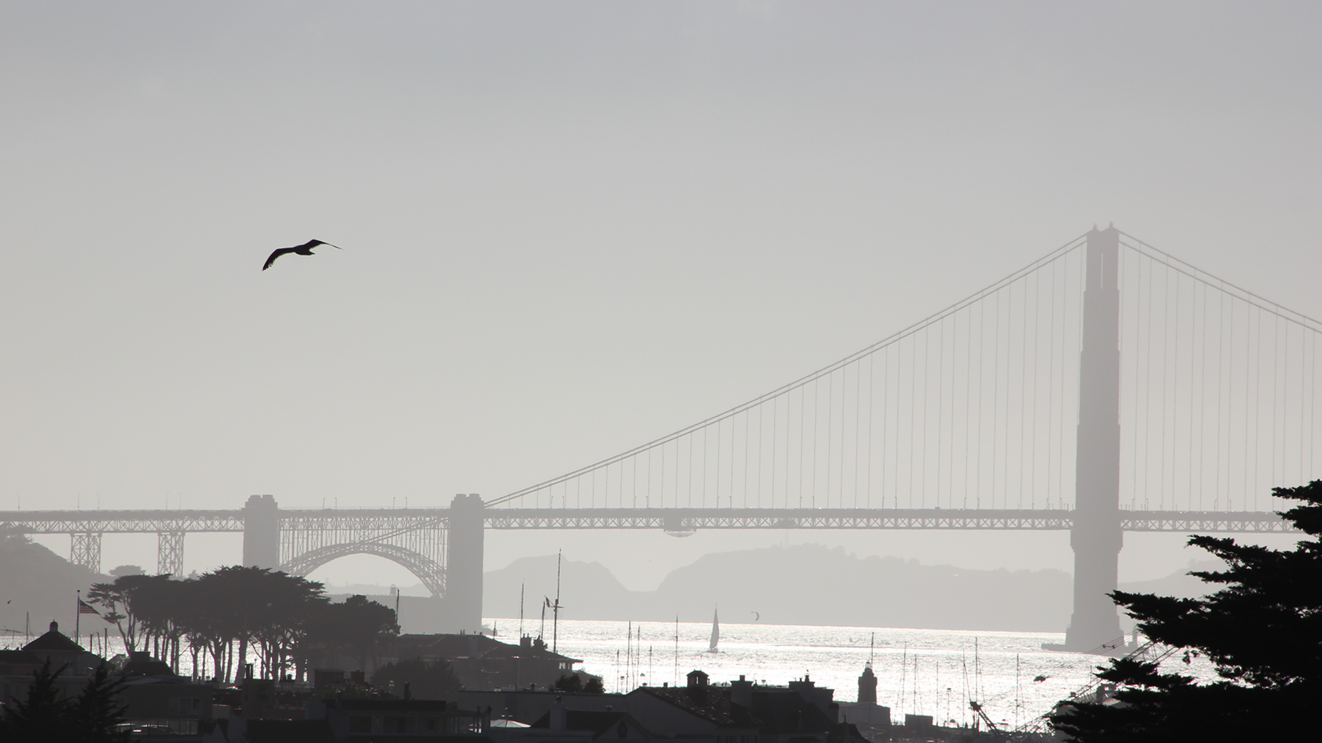 General 1920x1080 bridge monochrome Golden Gate Bridge city suspension bridge USA