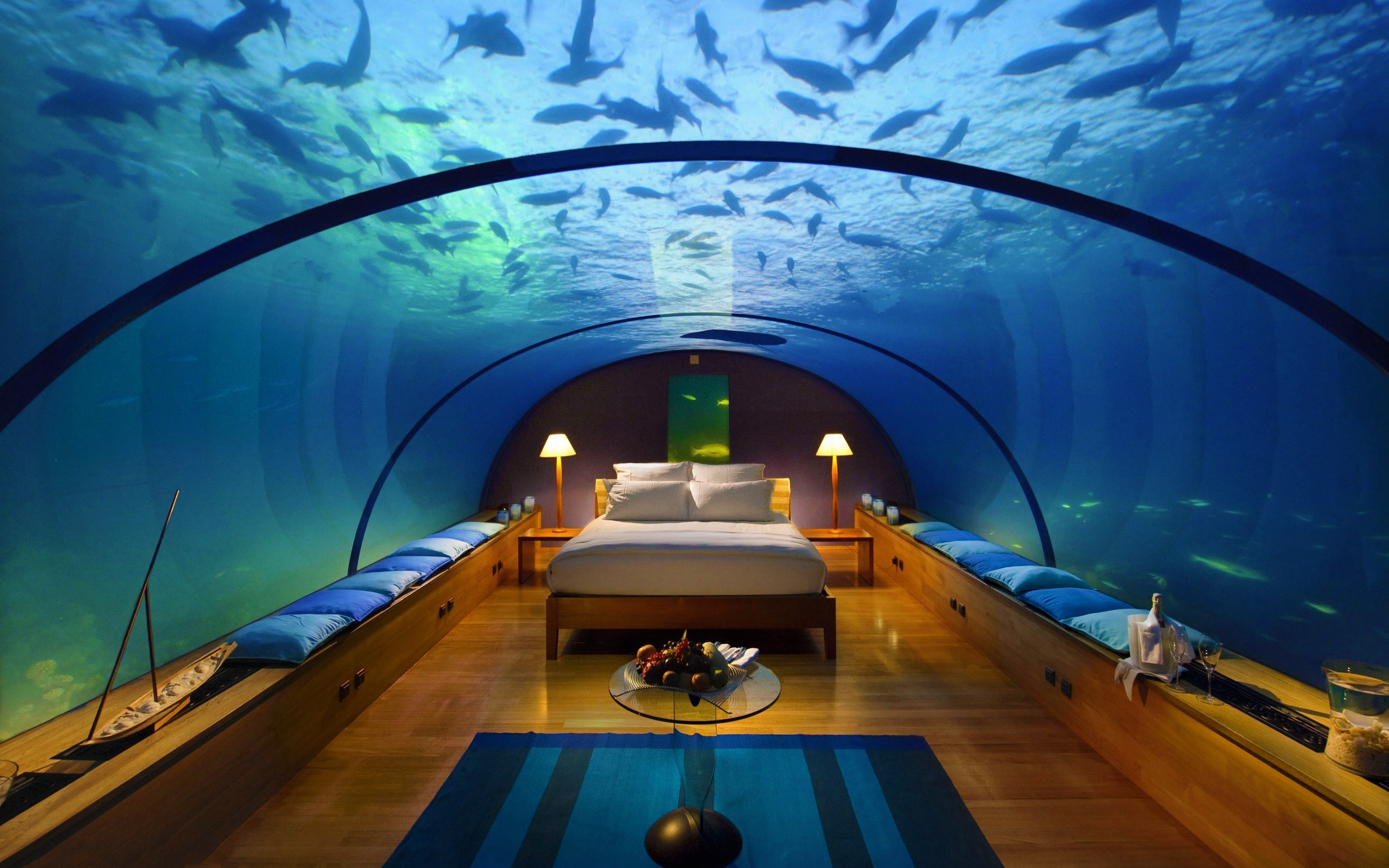 General 2560x1600 bedroom hotel interior bed aquarium