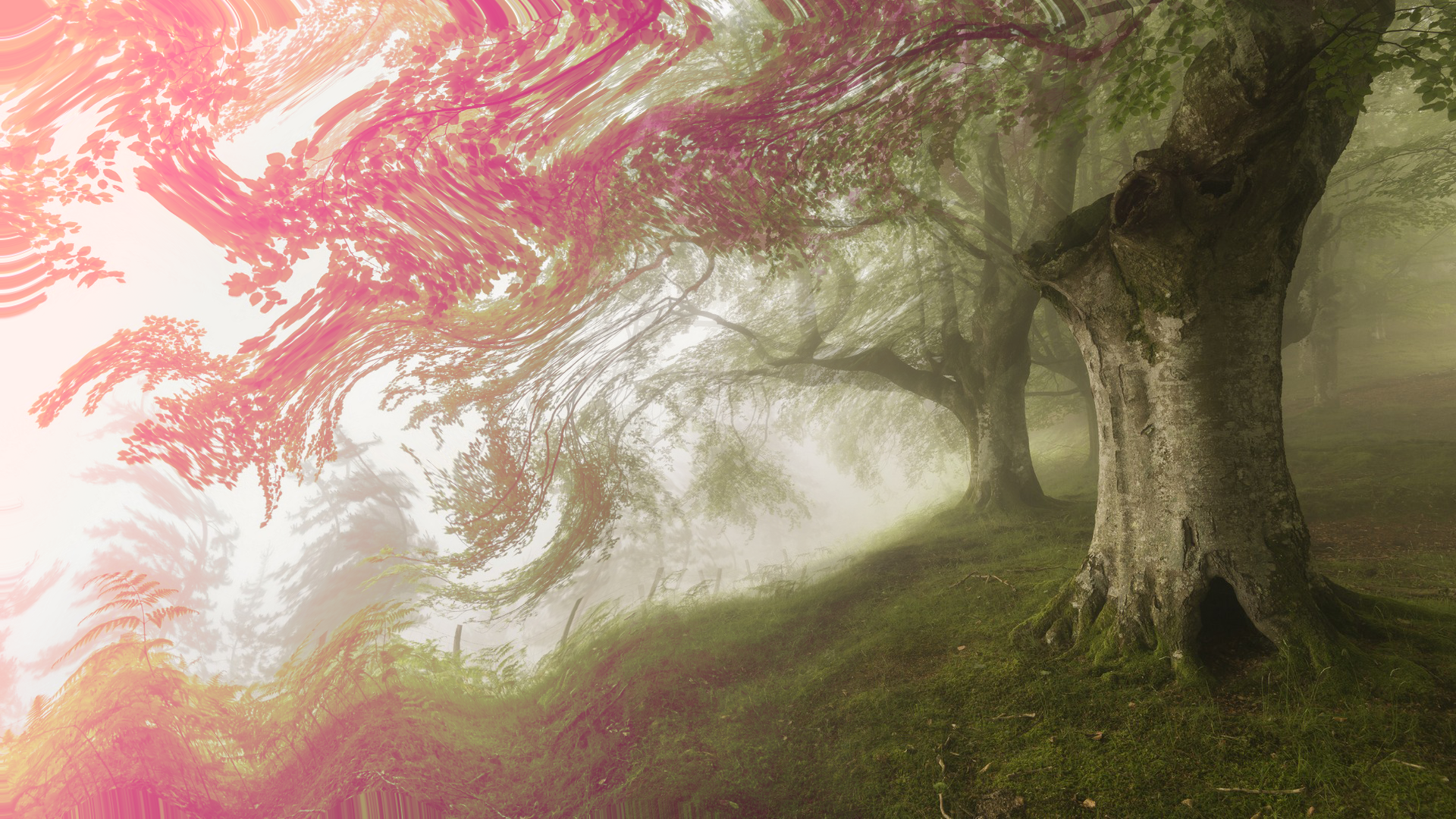 General 1920x1080 forest nature psychedelic trees