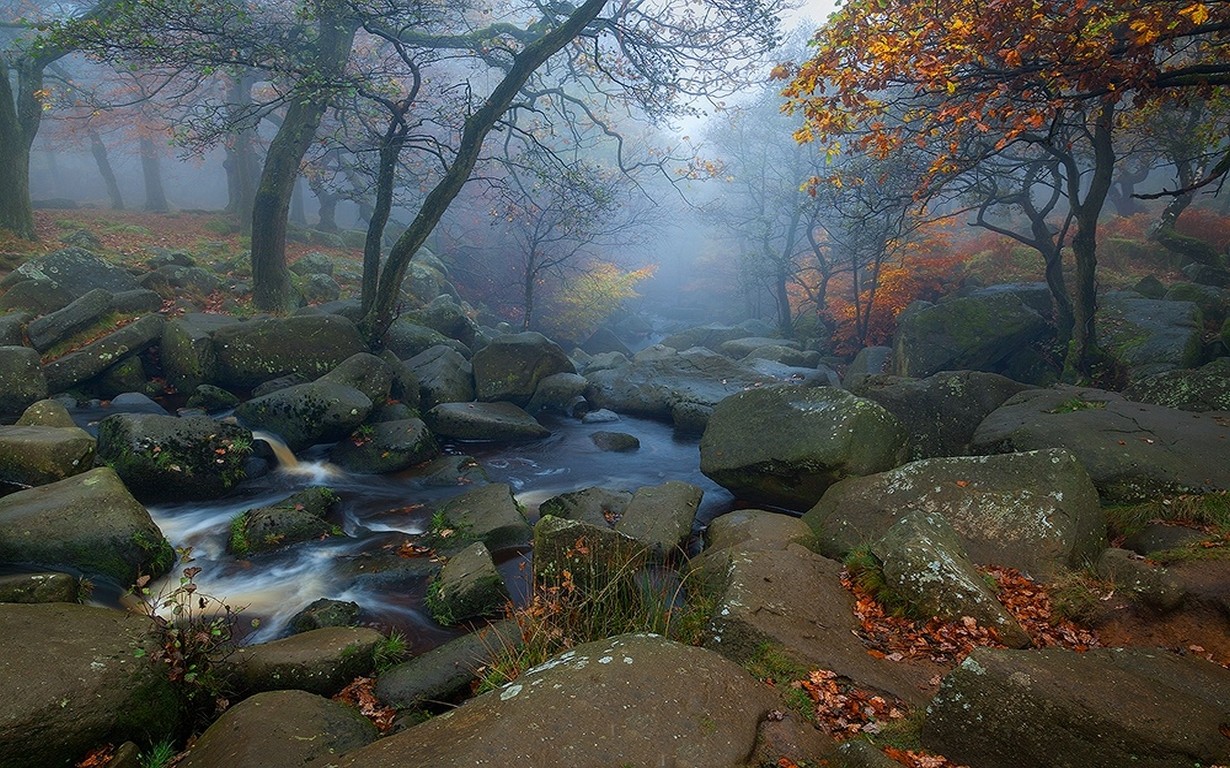General 1230x768 nature trees fall leaves morning mist stones water creeks outdoors