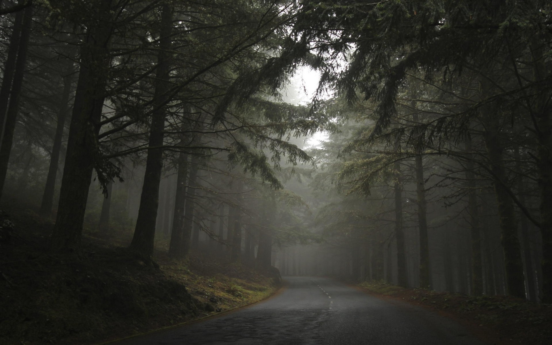 General 1920x1200 nature landscape mist forest road hills morning trees dark asphalt outdoors low light