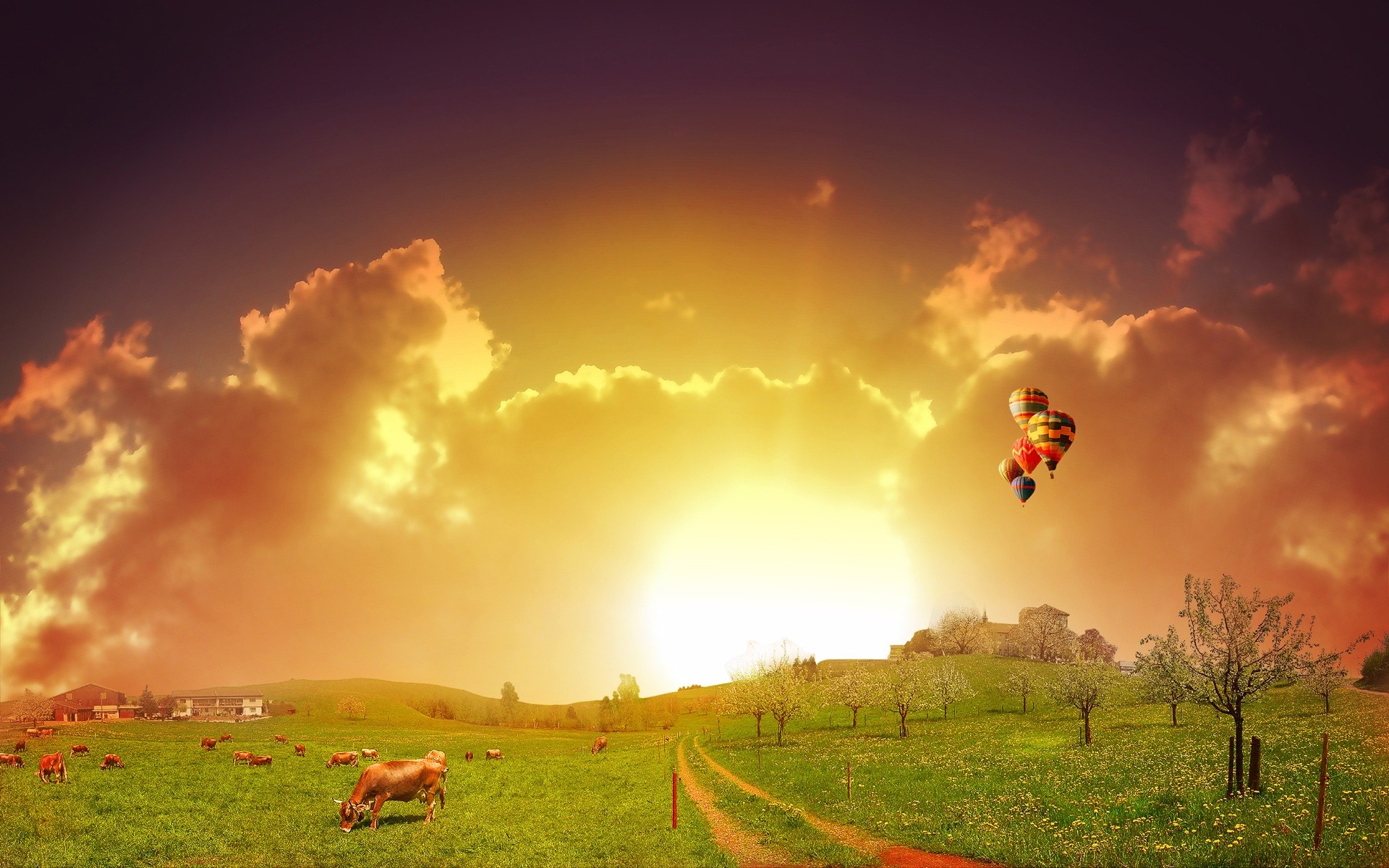 General 1920x1200 digital art landscape sunlight field animals sky colorful cow mammals hot air balloons vehicle