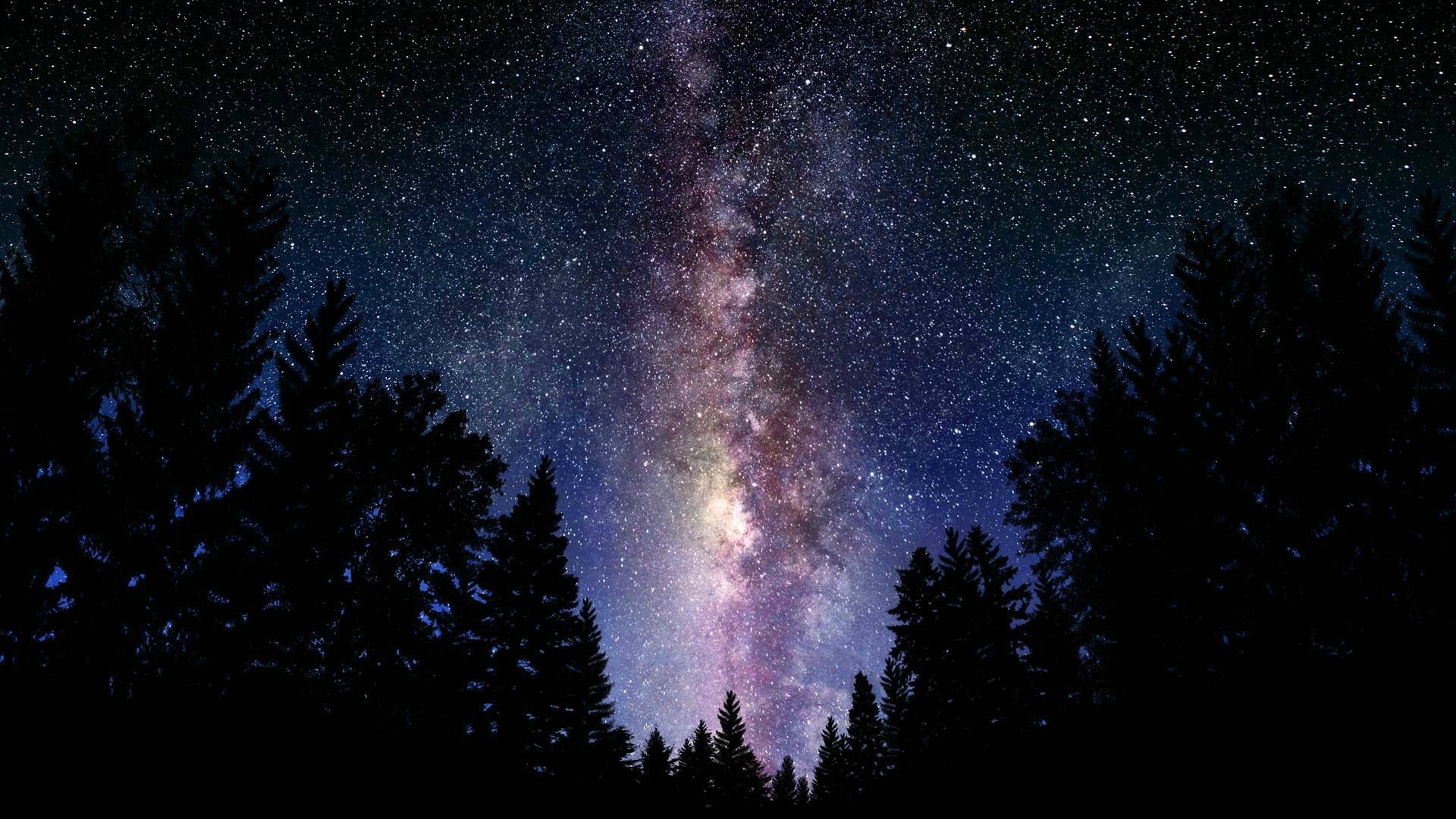 General 1920x1080 digital art space forest forest clearing starry night stars sky dark looking up