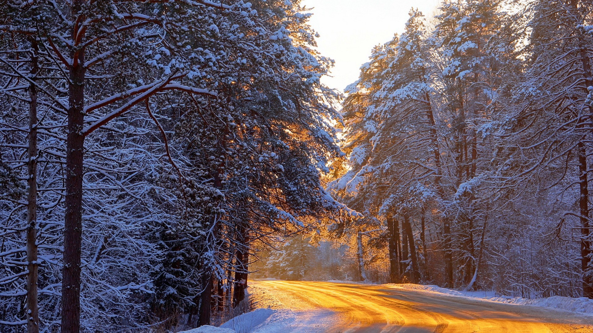 General 1920x1080 nature trees winter road frost snow outdoors cold ice