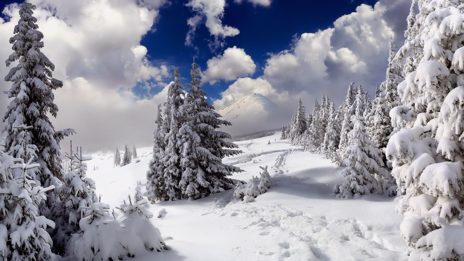 General 1920x1080 snow trees mountains nature cold outdoors landscape
