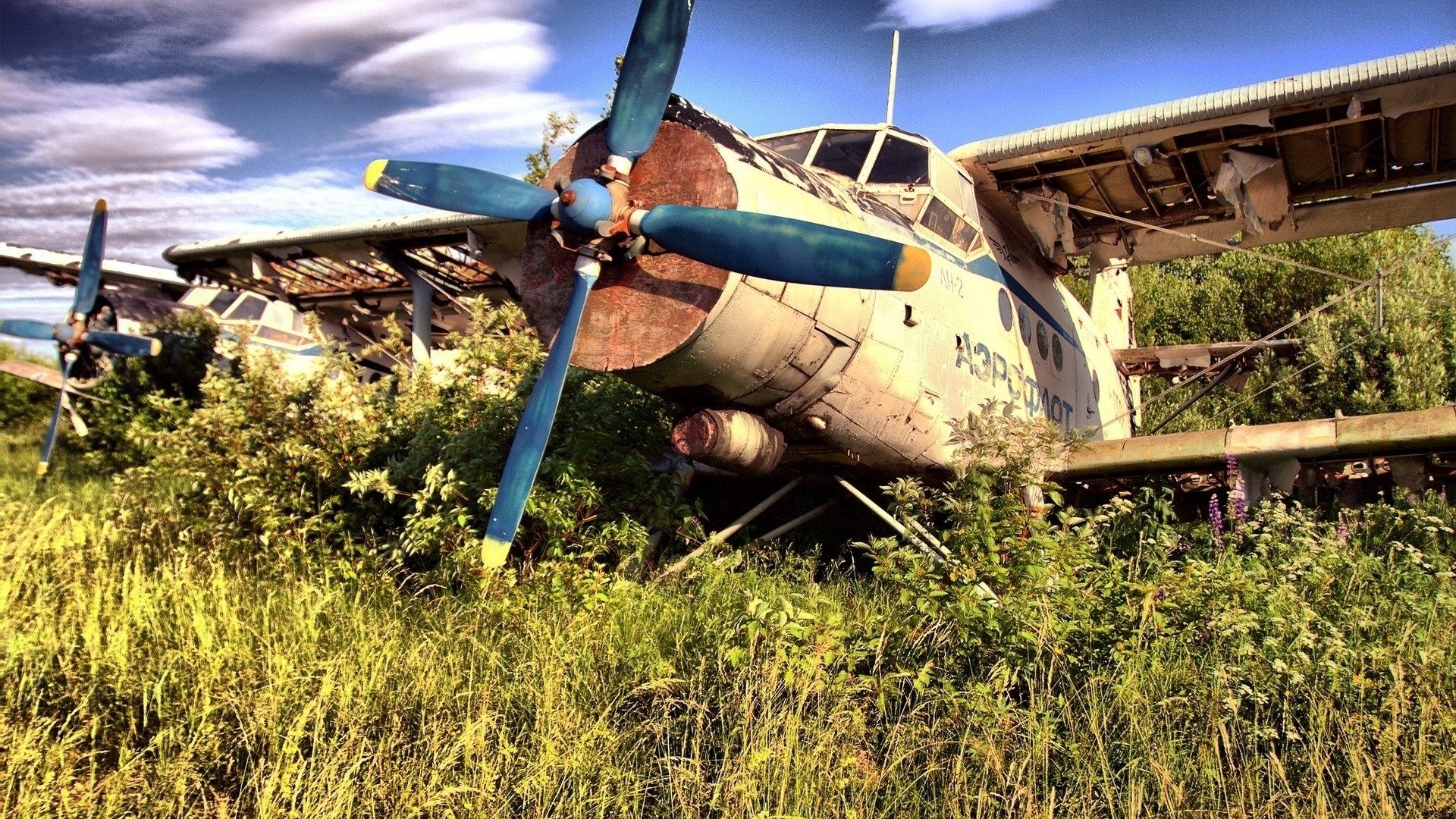 General 1920x1080 wreck airplane vehicle aircraft propeller plants grass Antonov An-2 Russian/Soviet aircraft
