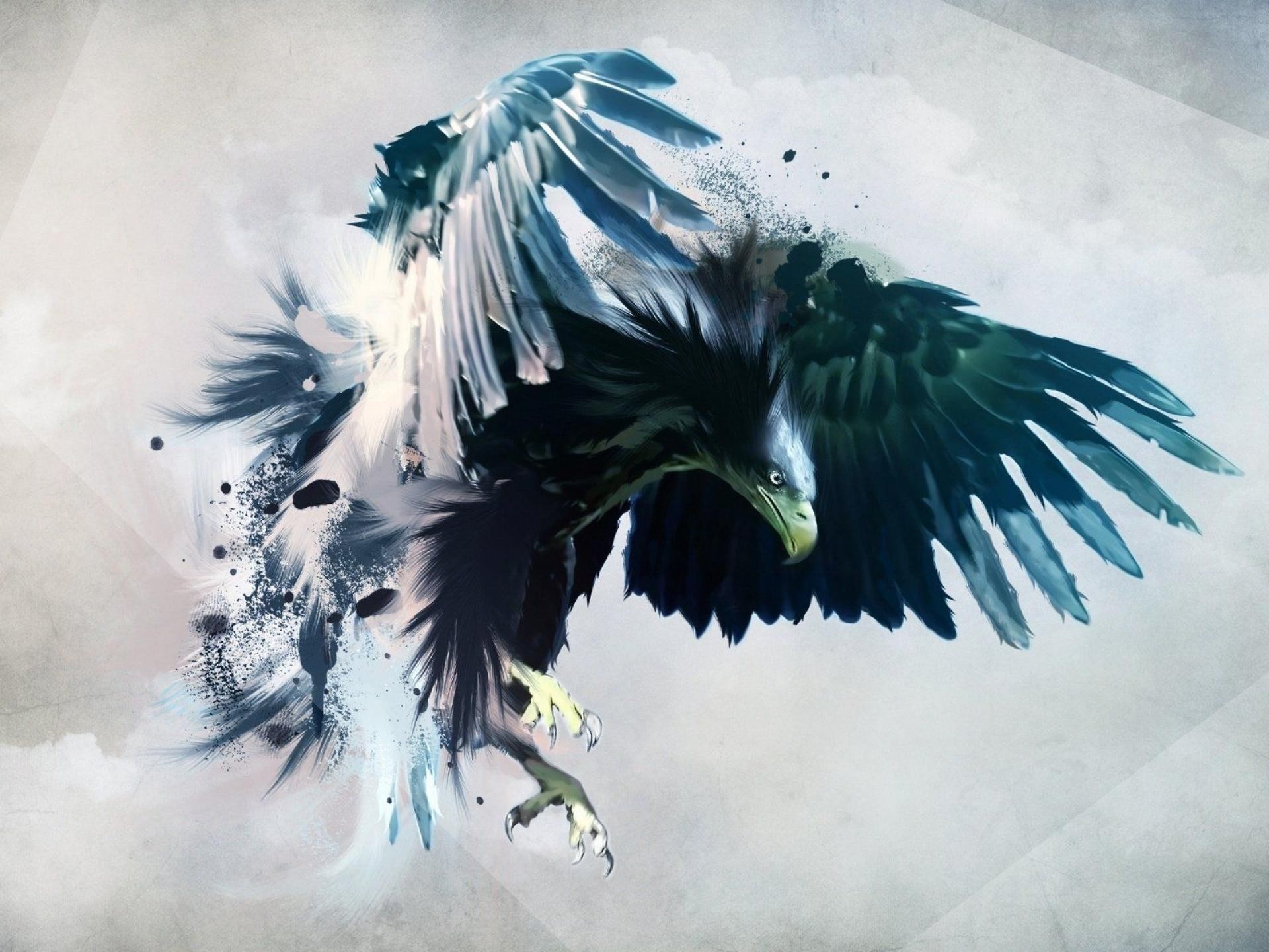 General 1920x1440 eagle birds artwork feathers digital art simple background beak animals minimalism claws