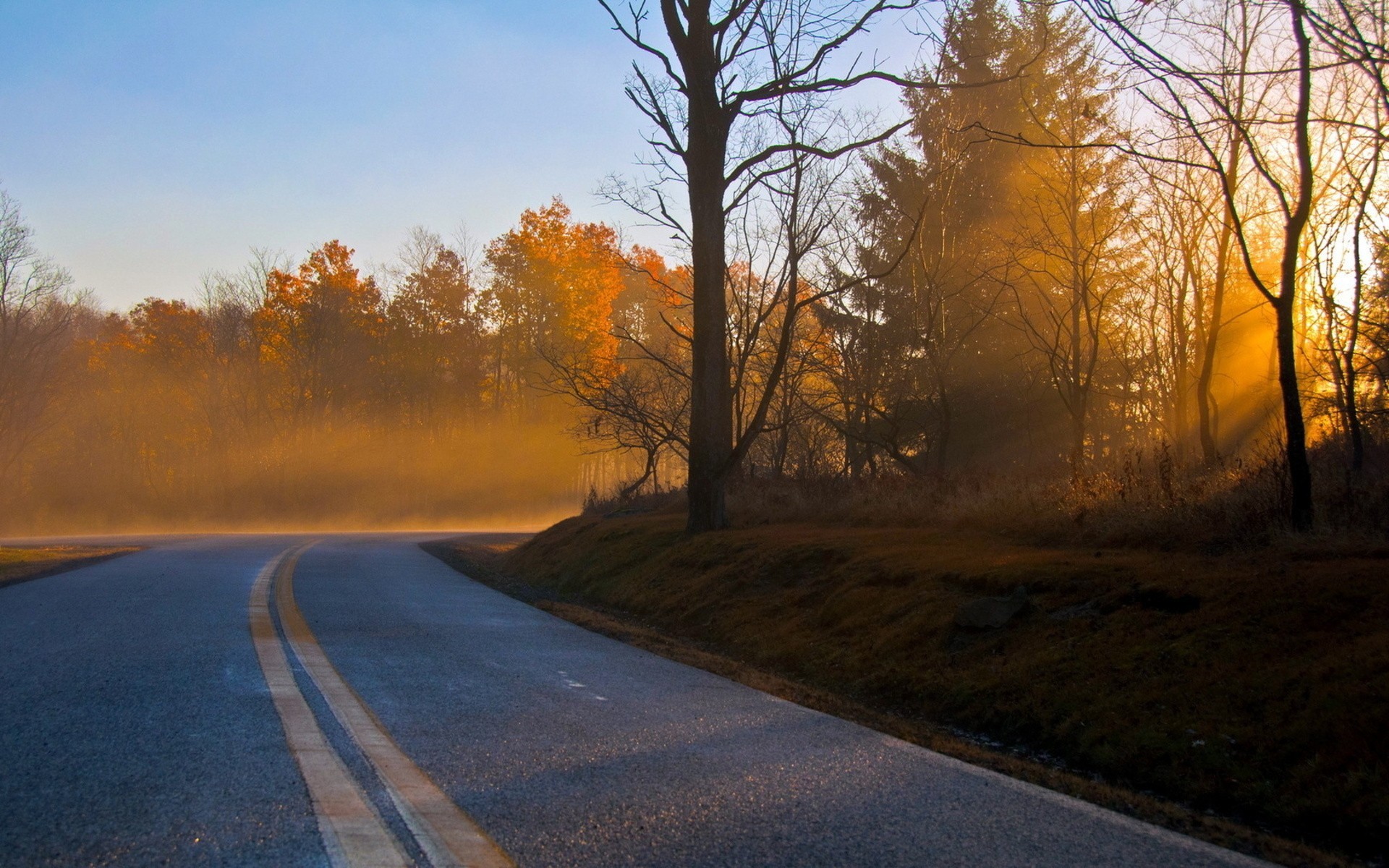 General 1920x1200 trees road sunlight asphalt