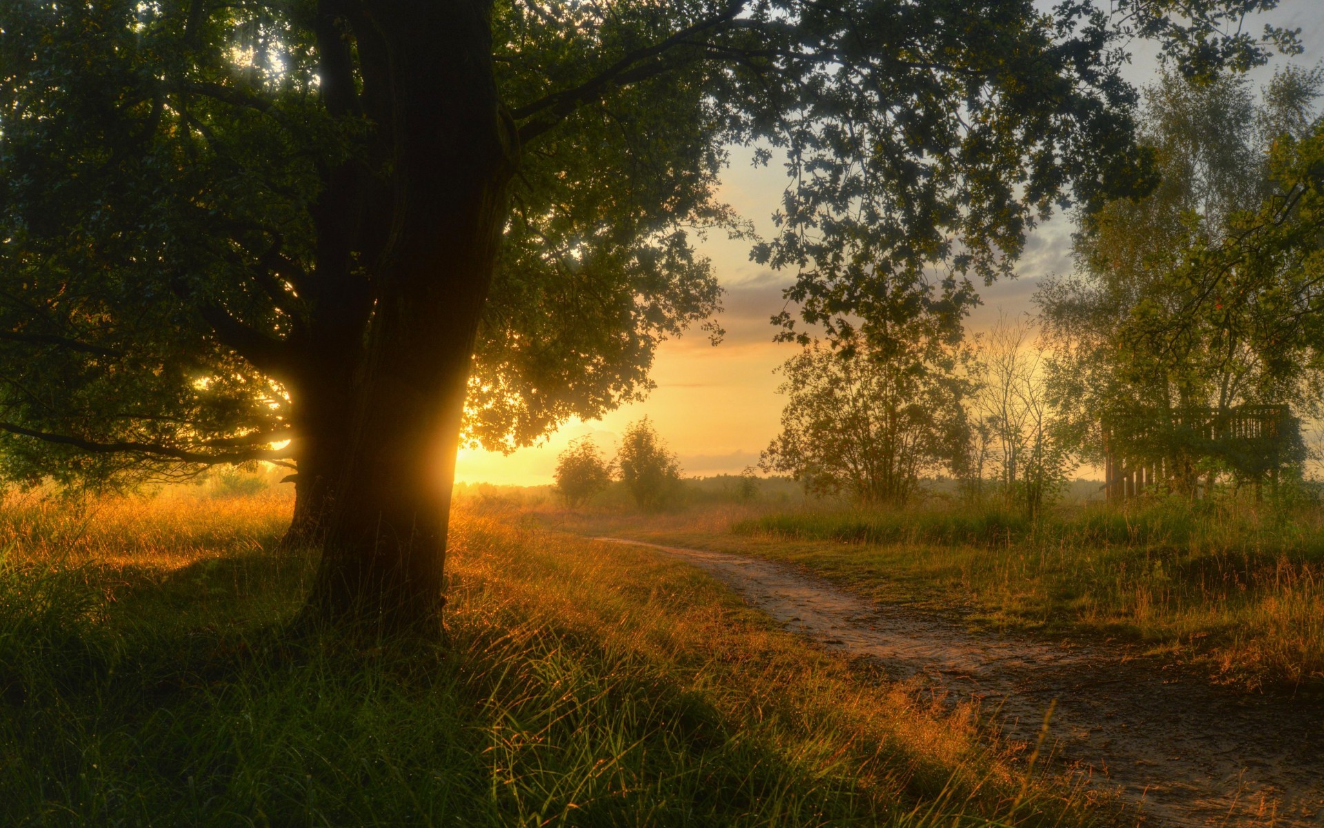 General 1920x1200 sunset landscape HDR trees path grass nature