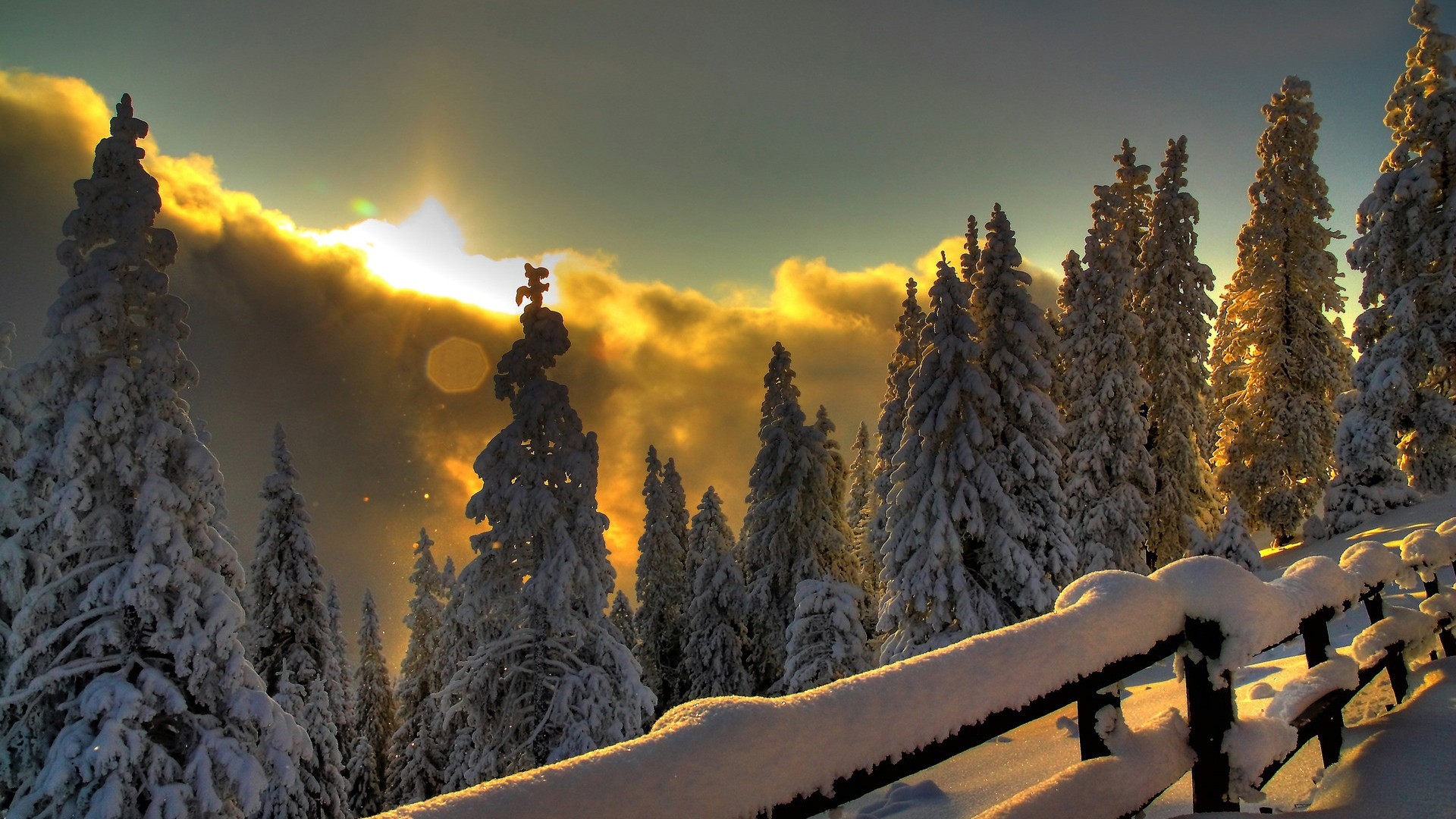 General 1920x1080 landscape winter snow sunset trees fence cold nature sky sunlight outdoors China