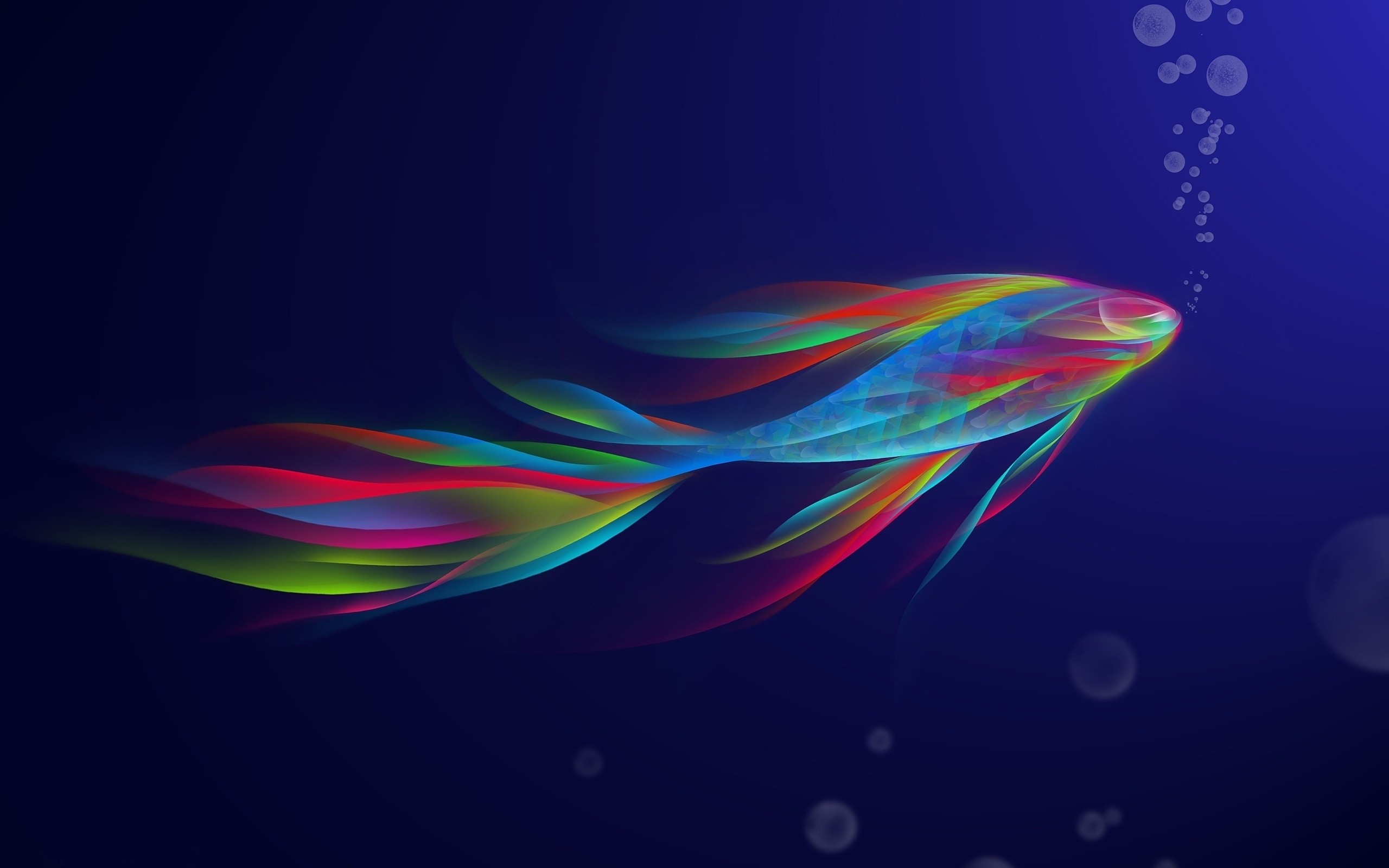 General 2560x1600 abstract digital art CGI fish underwater animals bubbles colorful minimalism simple background