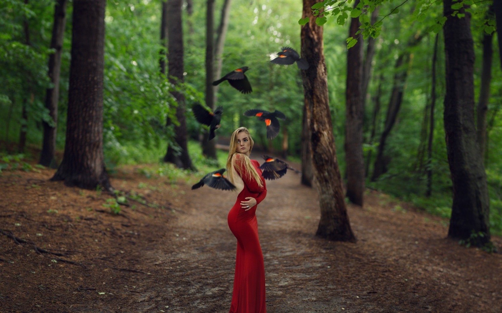 People 1680x1050 women women outdoors blonde depth of field red dress long hair birds forest nature animals red clothing looking away trees standing model outdoors