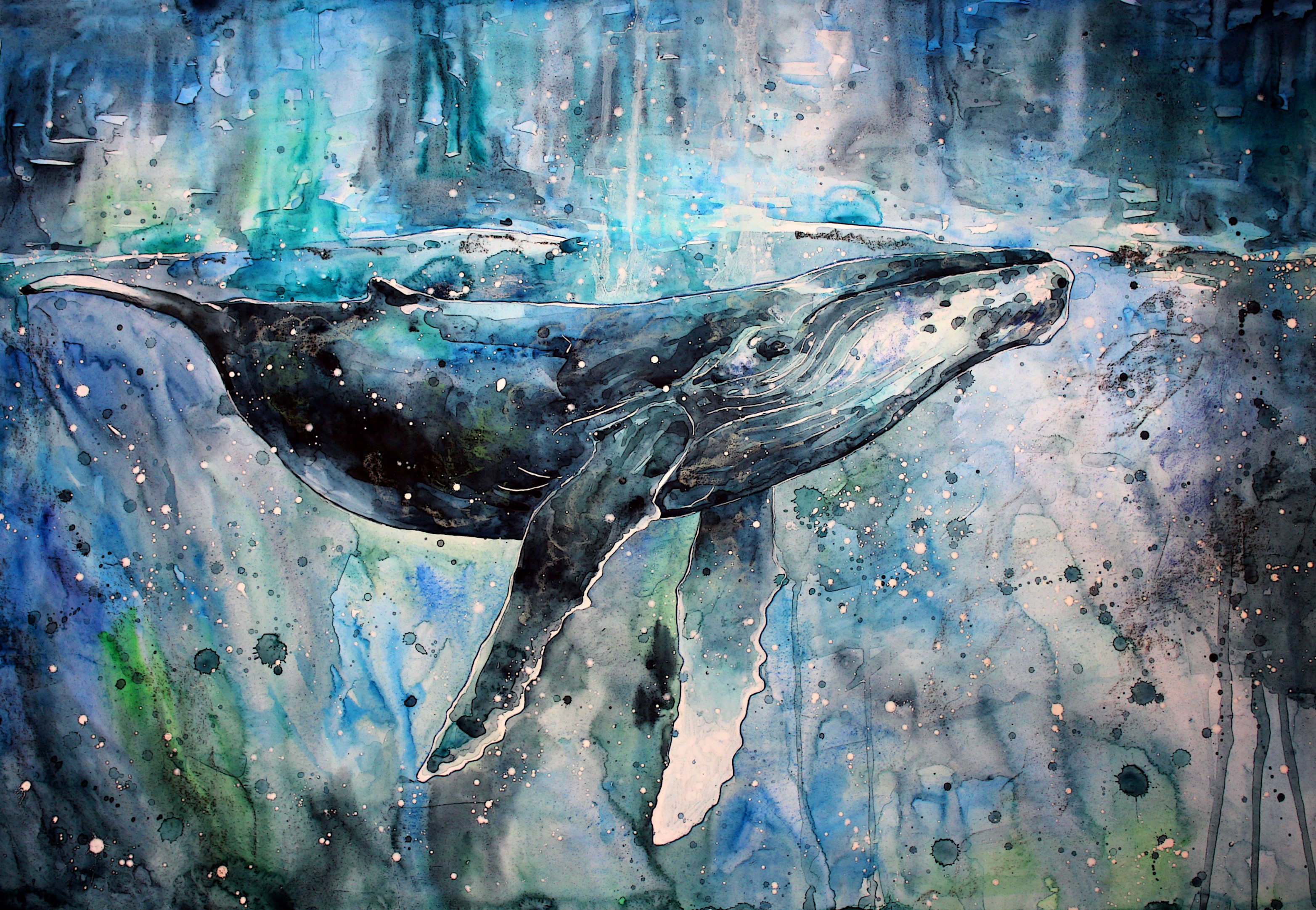 General 3129x2163 whale artwork watercolor paint splatter animals painting blue cyan DeviantArt mammals digital art