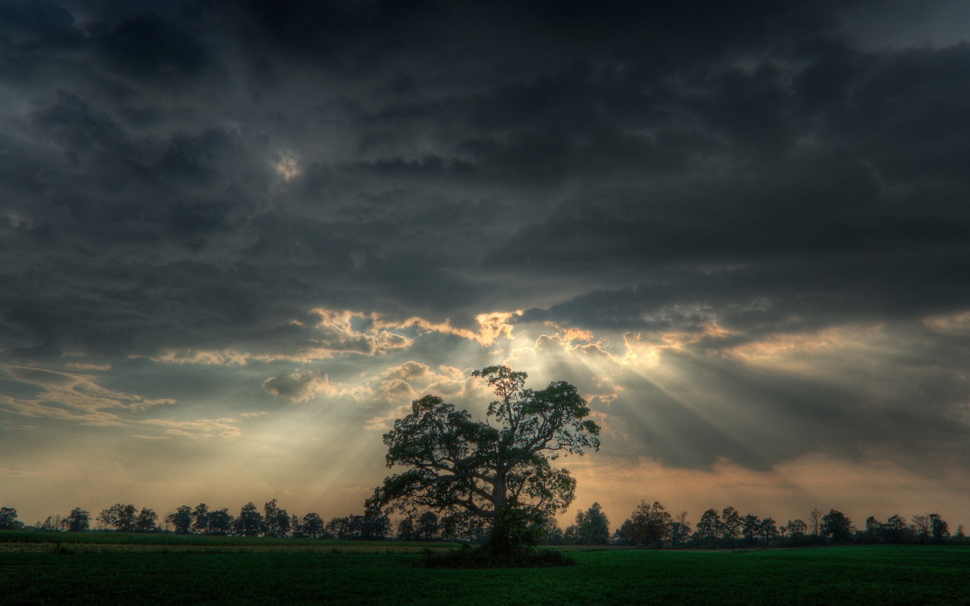 General 1920x1200 trees nature landscape sky sun rays dark clouds outdoors low light