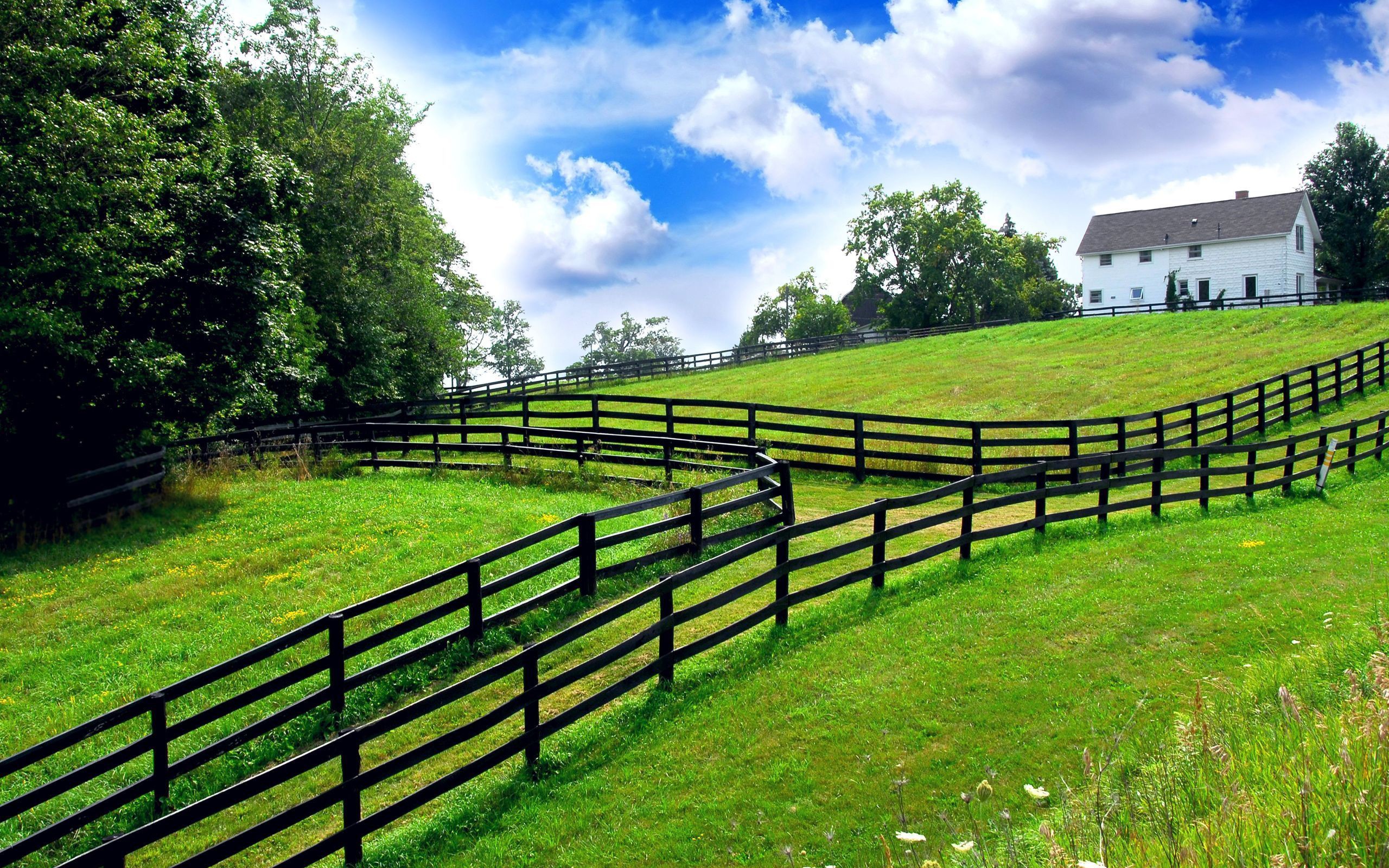 General 2560x1600 house fence field