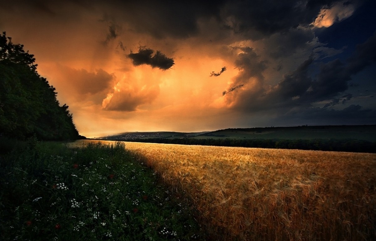 General 1200x771 field wildflowers clouds hills storm sunset Poland nature landscape