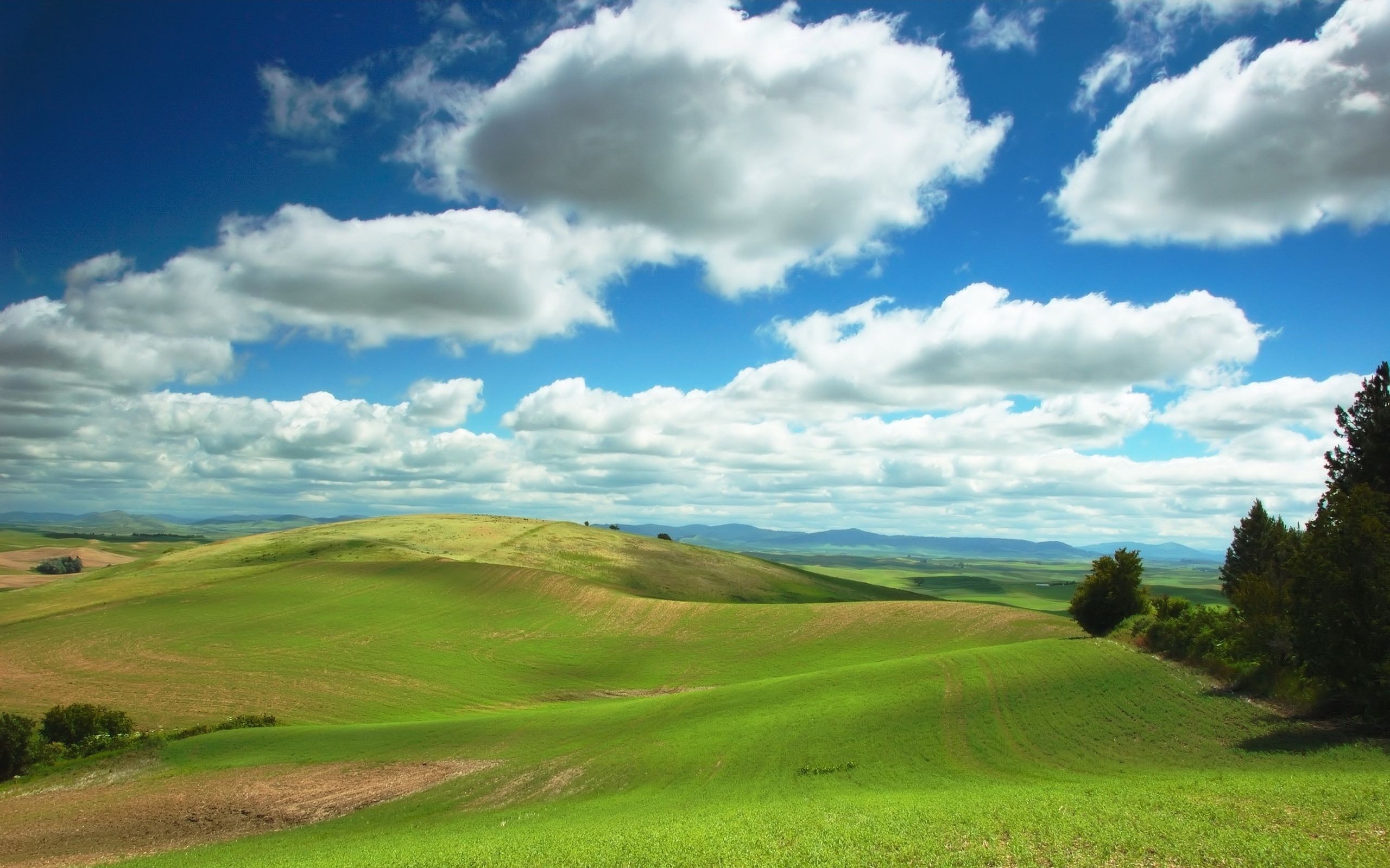 General 2560x1600 sky clouds outdoors nature trees field