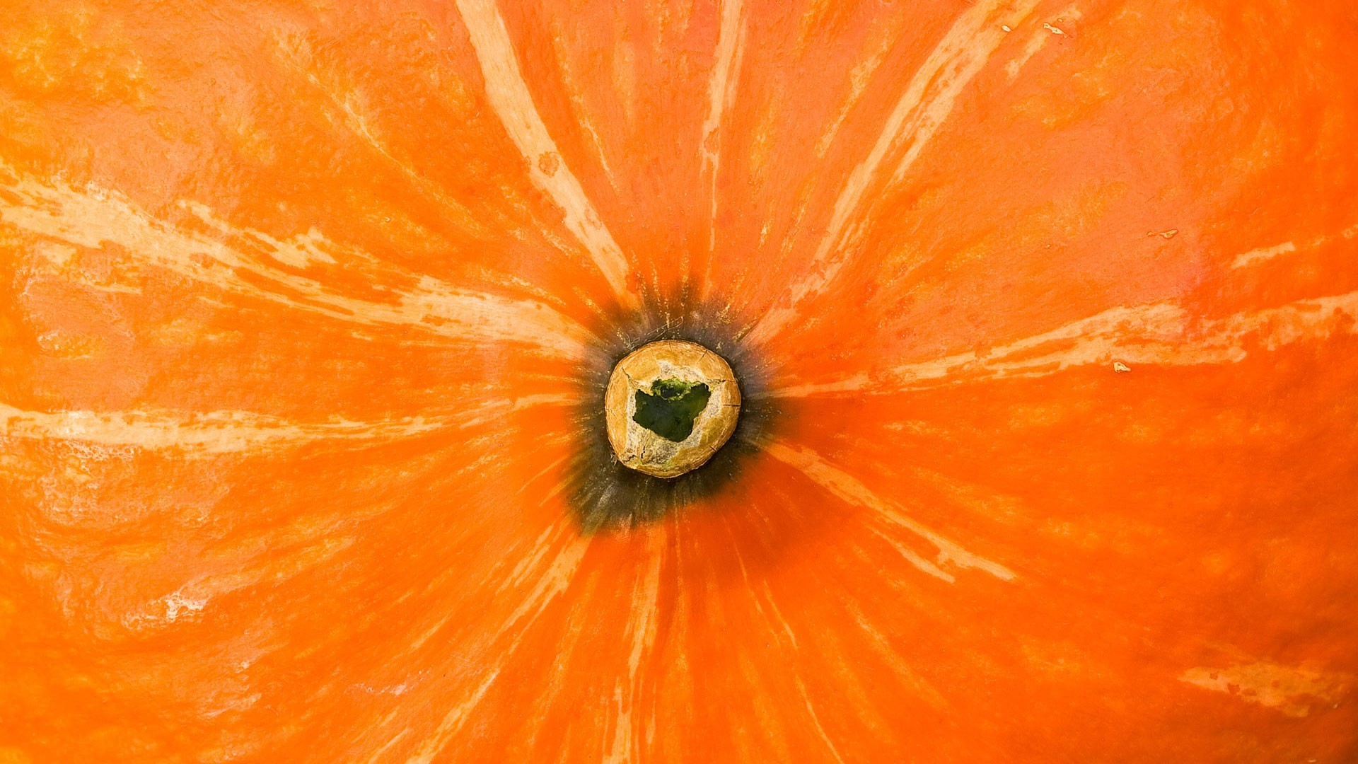 General 1920x1080 orange orange background island pumpkin