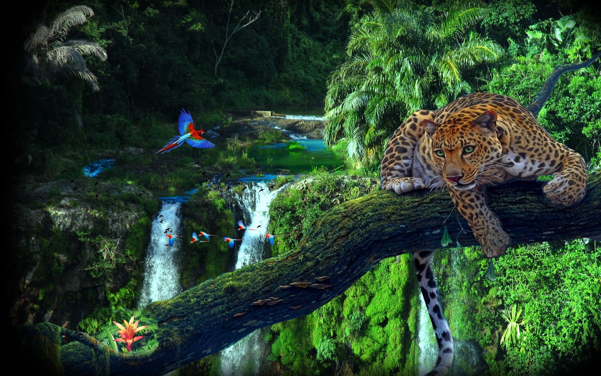General 1920x1200 forest waterfall macaws vignette leopard artwork animals mammals big cats birds nature