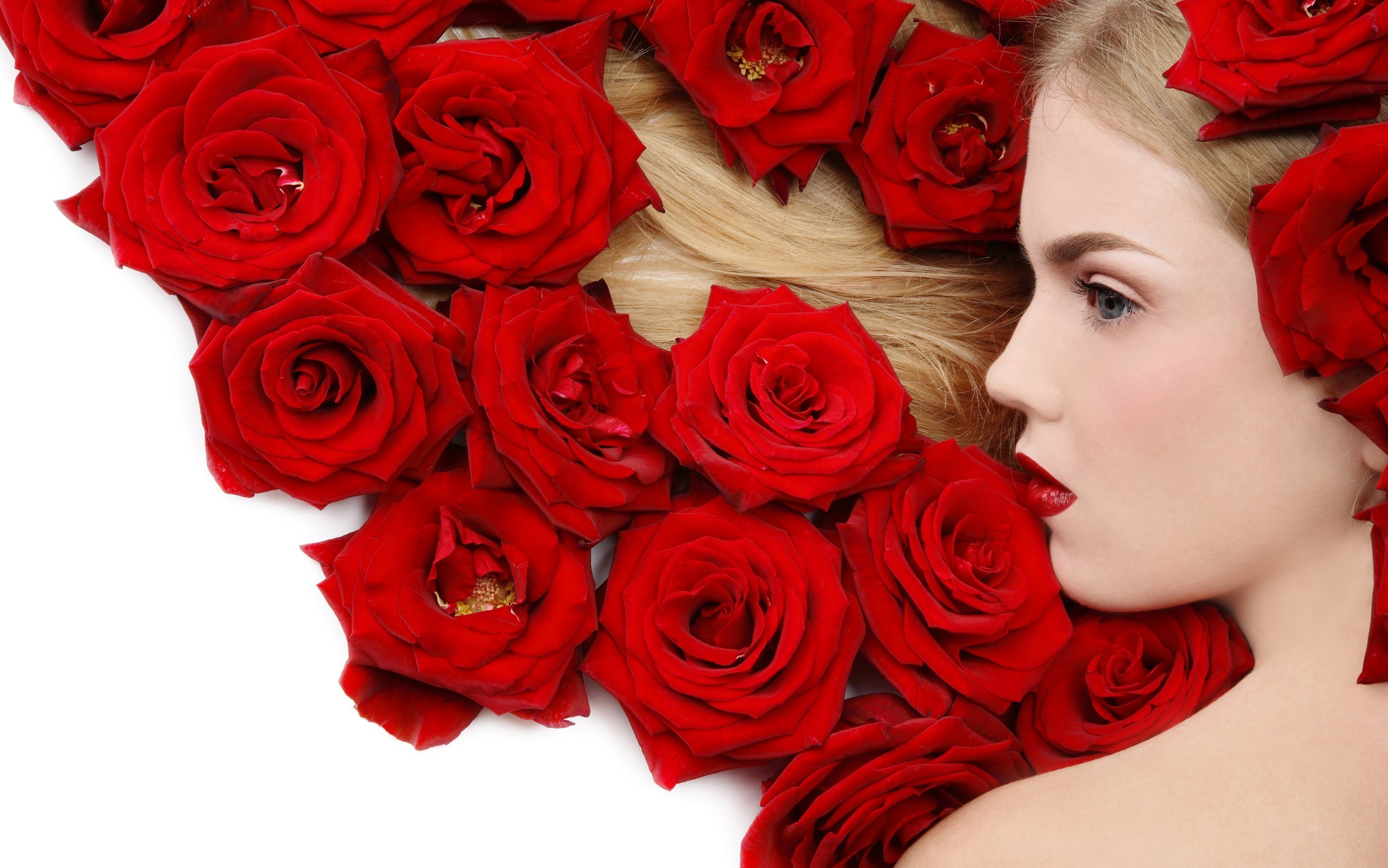 People 2560x1600 women model blonde face red lipstick blue eyes flowers rose profile white background red flowers plants