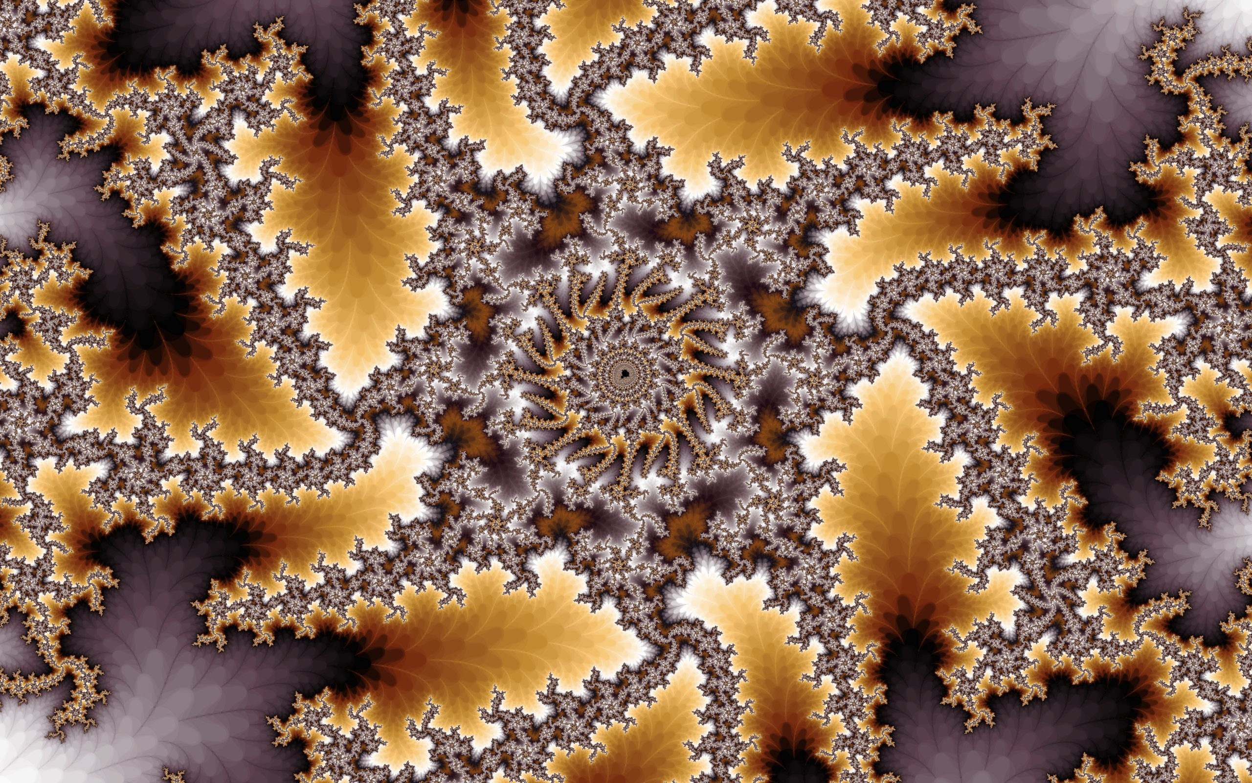 General 2560x1600 abstract fractal Mandelbrot CGI digital art