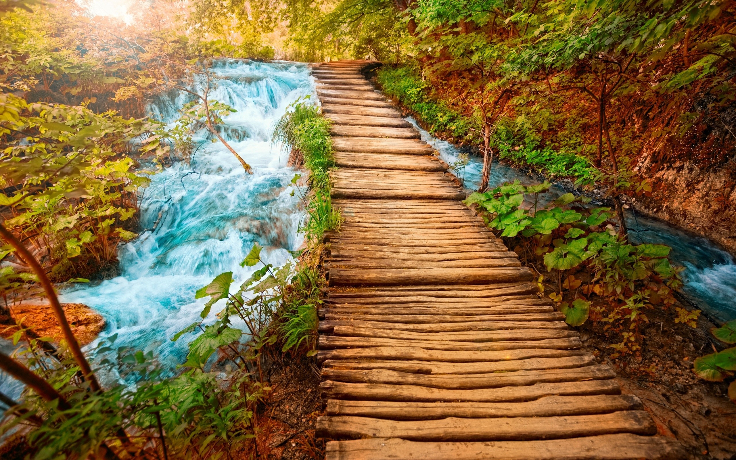 General 2560x1600 bridge river nature plants water outdoors path waterfall forest