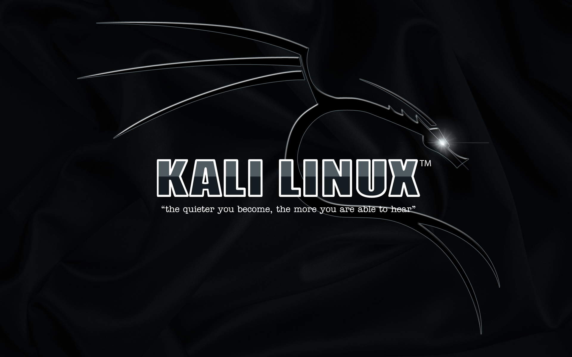 General 1920x1200 Kali Linux simple background typography Linux
