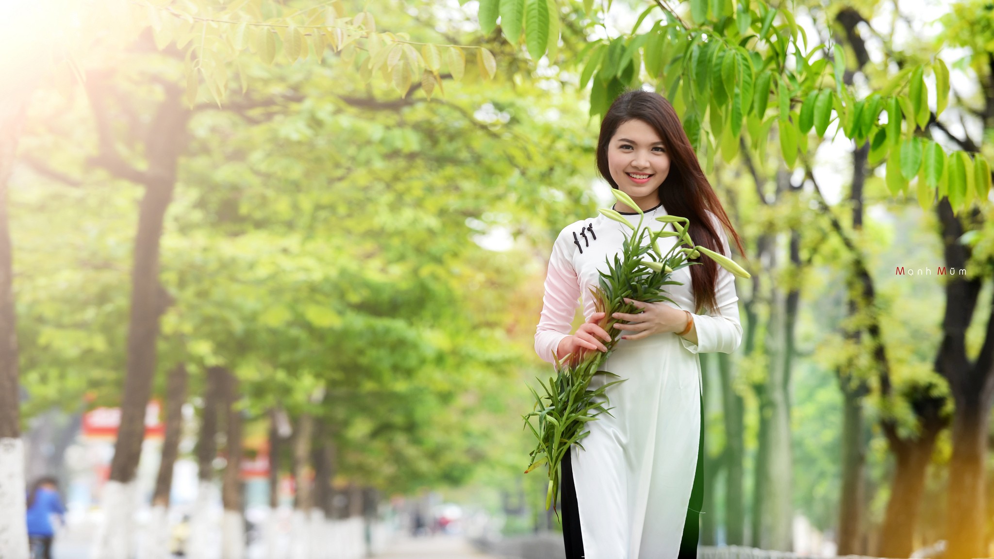 People 2048x1152 women outdoors Asian plants leaves sunlight brunette women trees urban smiling