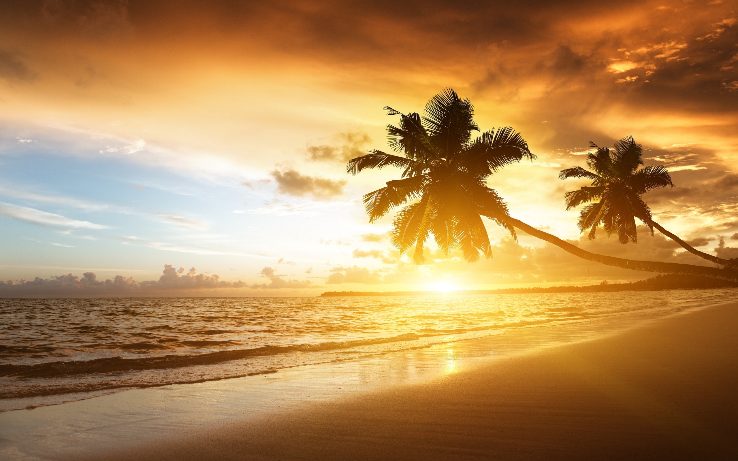 General 2560x1600 coast sea beach palm trees sunset tropical landscape yellow