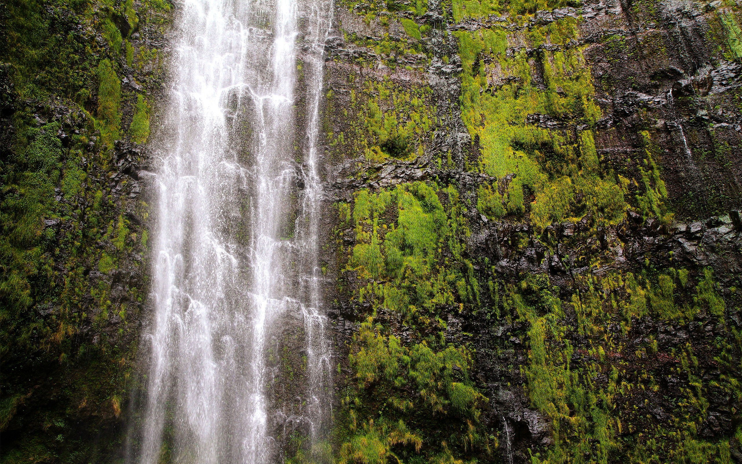 General 2560x1600 waterfall stone wall moss plants water nature