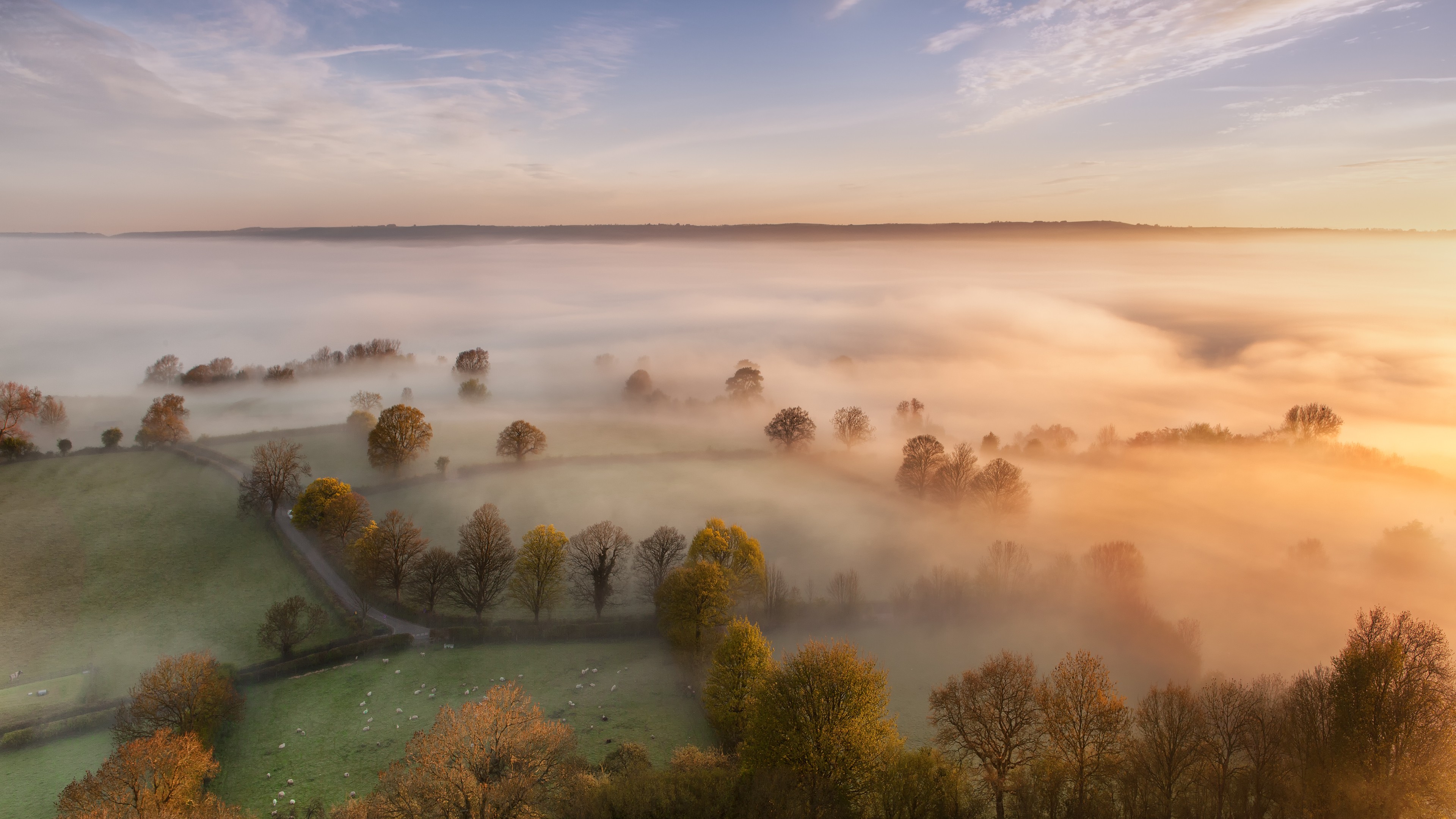 General 3840x2160 nature landscape mist trees dew morning aerial view field bird's eye view sunlight