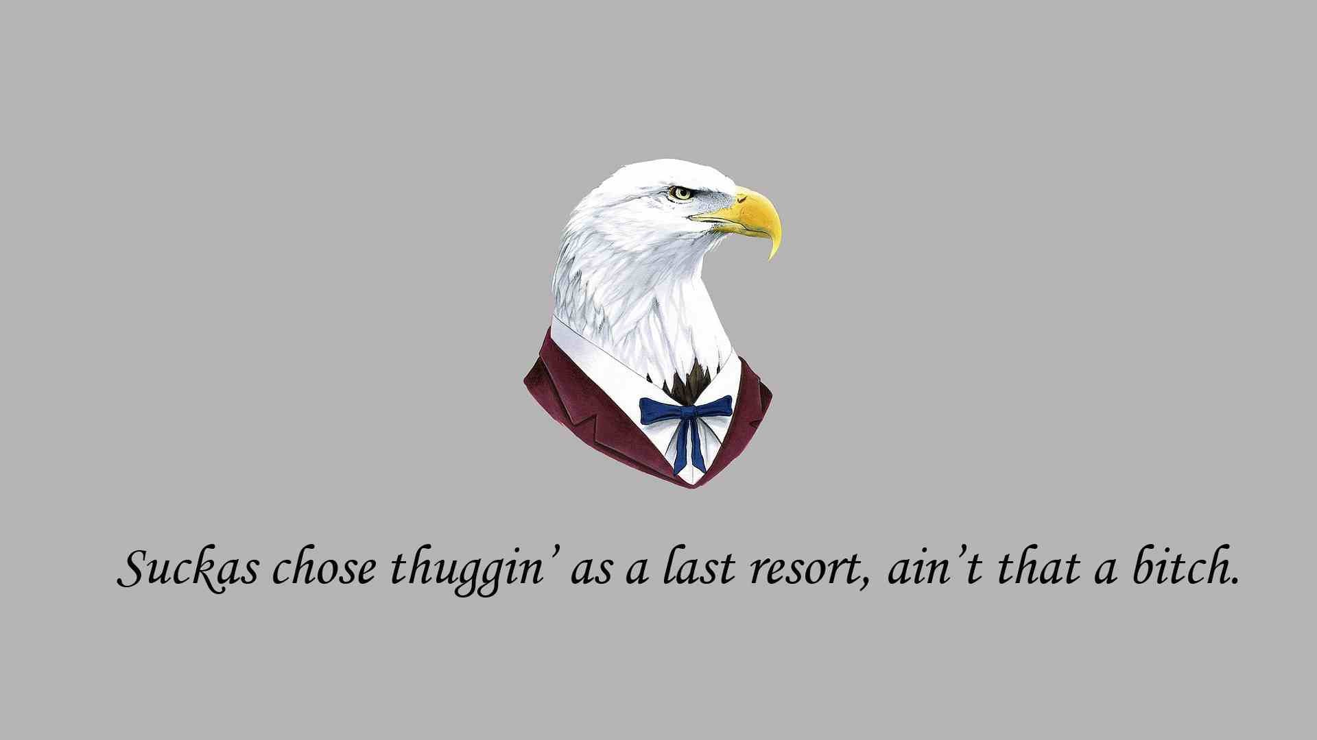 General 1920x1080 quote animals birds simple background eagle bitch typography gray background