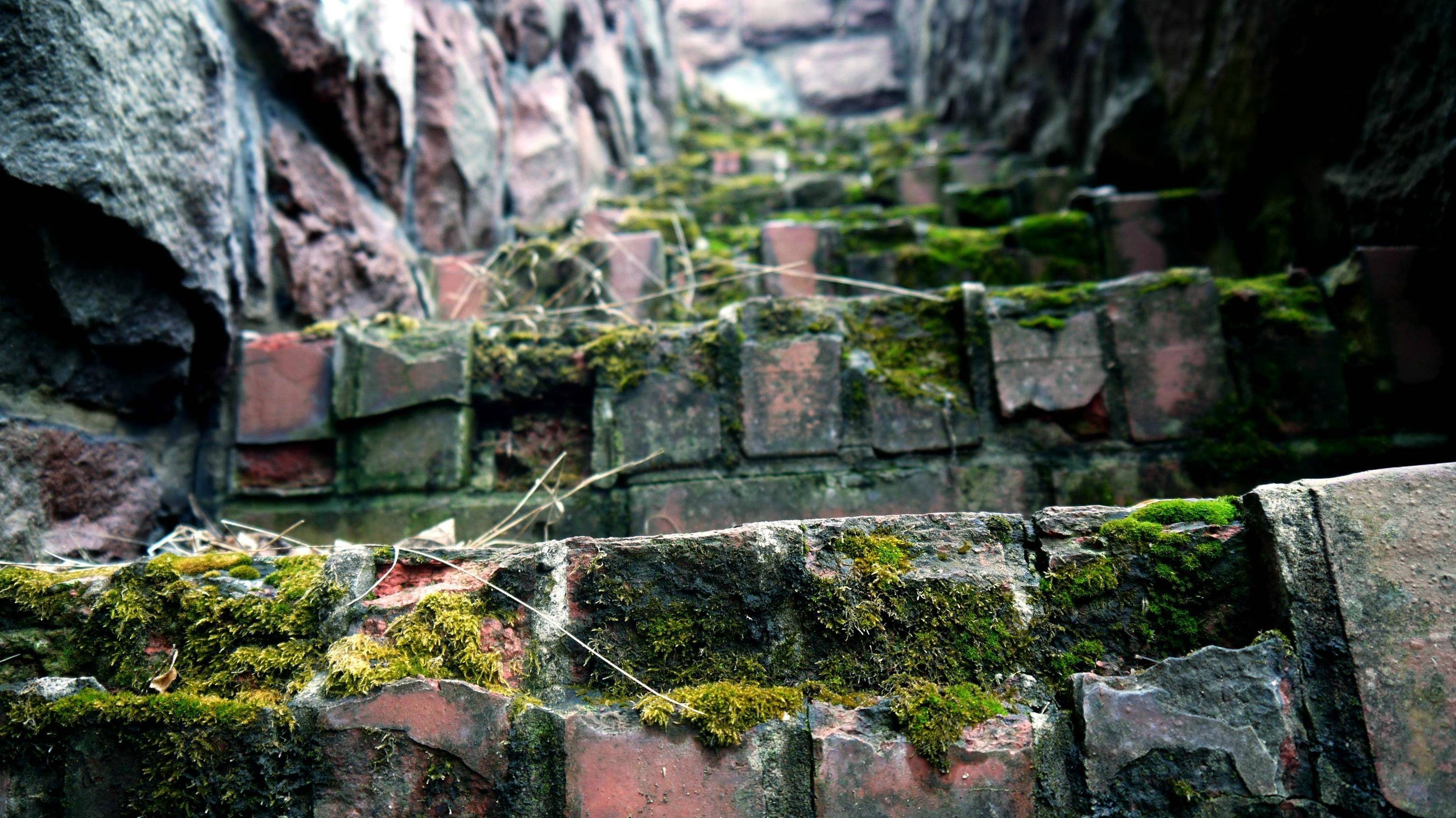 General 3120x1753 stairs worm's eye view moss bricks photography macro depth of field low-angle