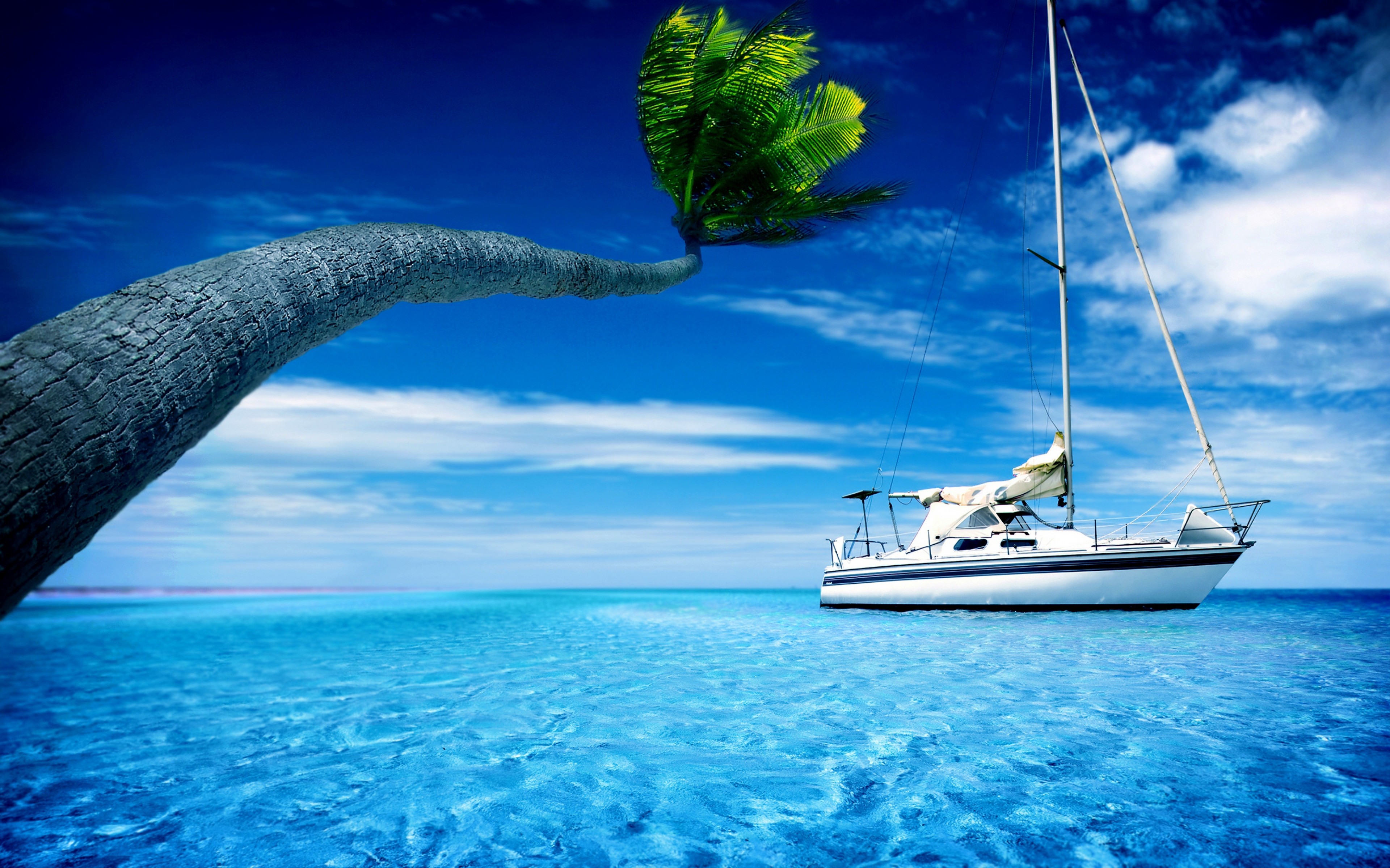 General 3840x2400 yacht boat sea palm trees vehicle clouds water outdoors plants