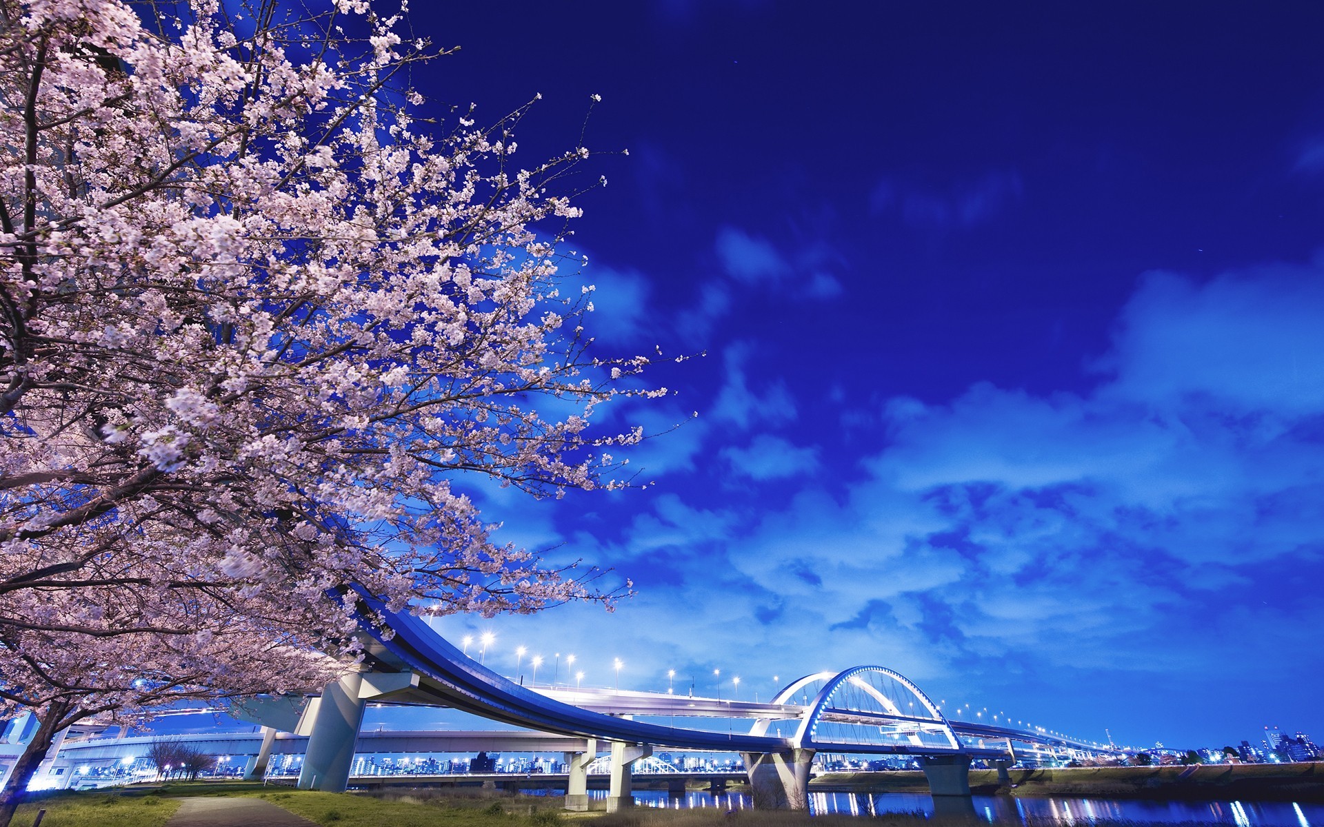 General 1920x1200 city cityscape bridge cherry blossom sky Japan Asia