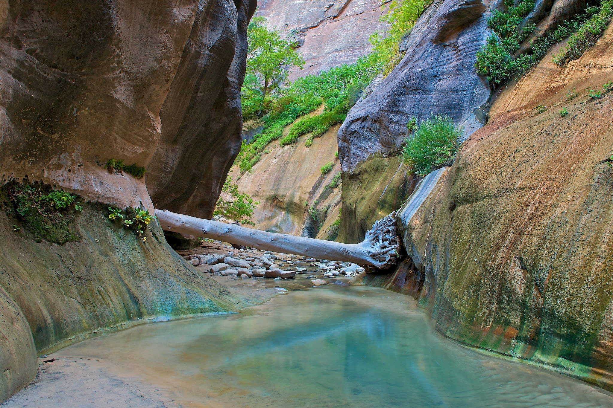 General 2048x1365 nature Zion National Park Utah USA rocks creeks outdoors