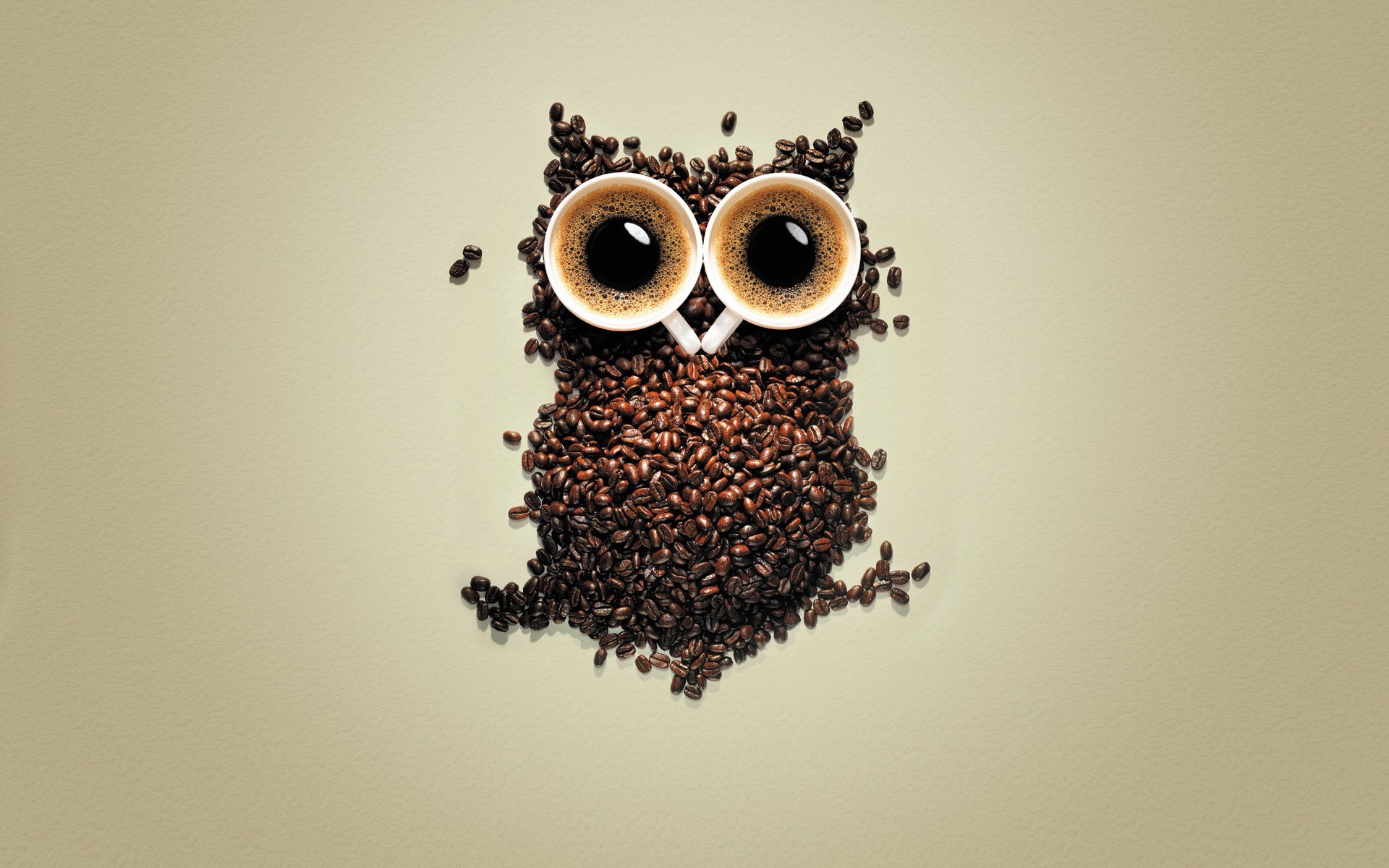 General 1920x1200 coffee owl coffee beans creativity birds animals simple background digital art cup beige