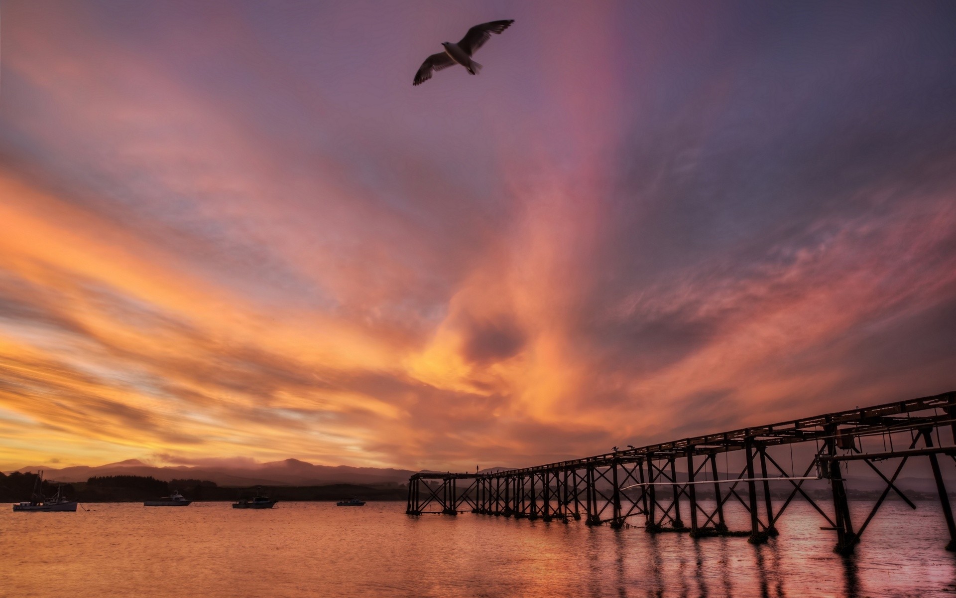 General 1920x1200 landscape HDR pier sunset seagulls New Zealand sky birds animals water outdoors