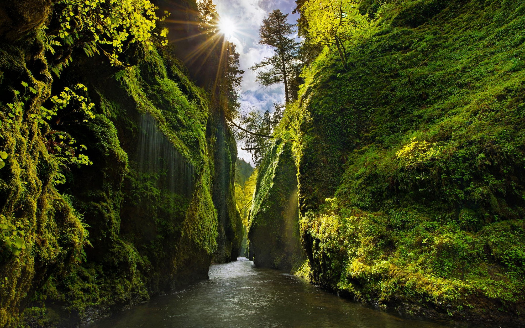 General 2200x1375 nature landscape canyon Oregon green sun rays moss river trees shrubs waterfall valley sunlight USA